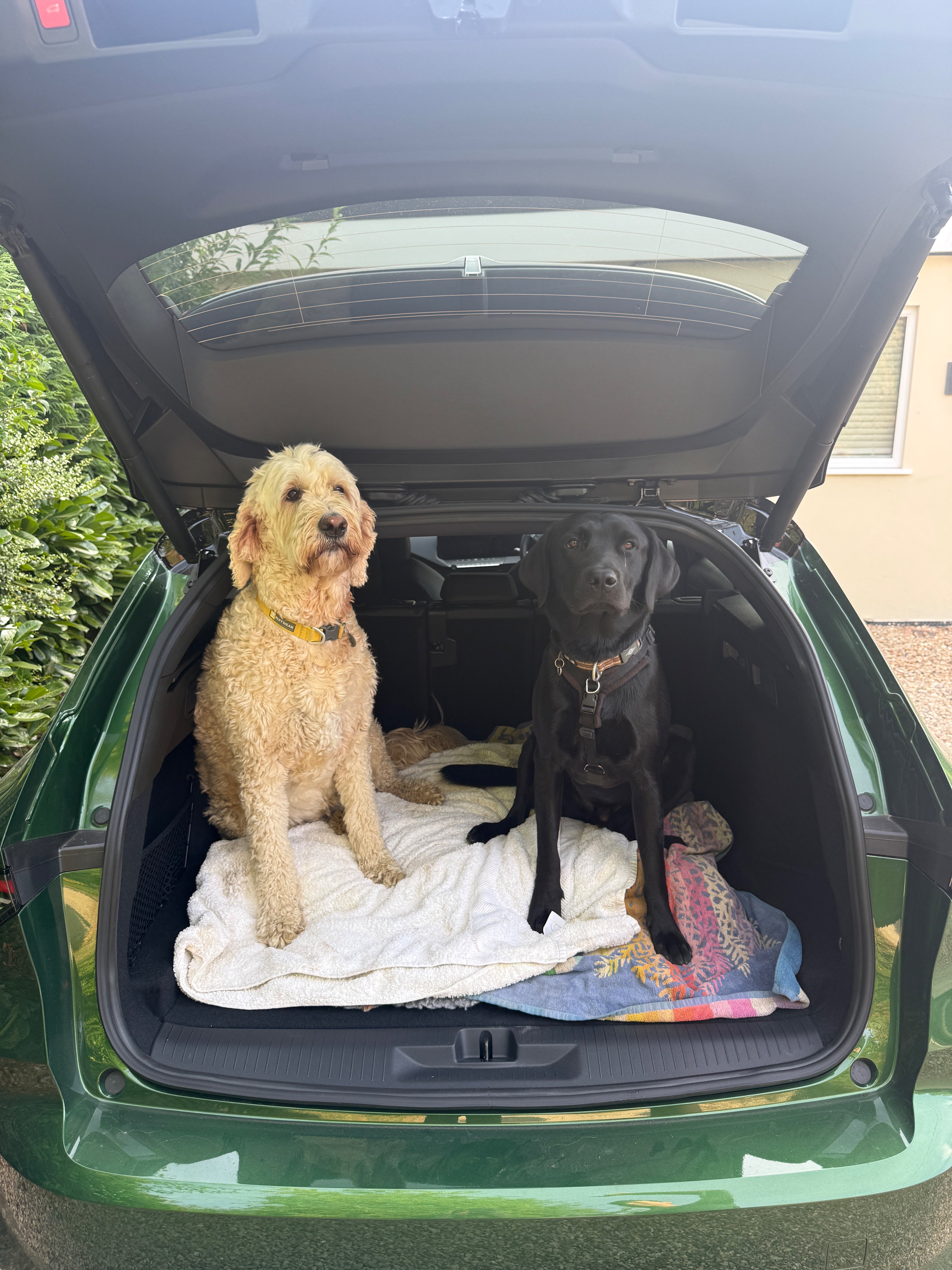 The Astra proved to be perfect for most dogs, especially with the low loading lip that makes it easy to jump in