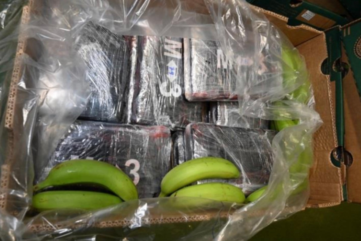Tonnes of cocaine worth more than £200m found inside banana boxes