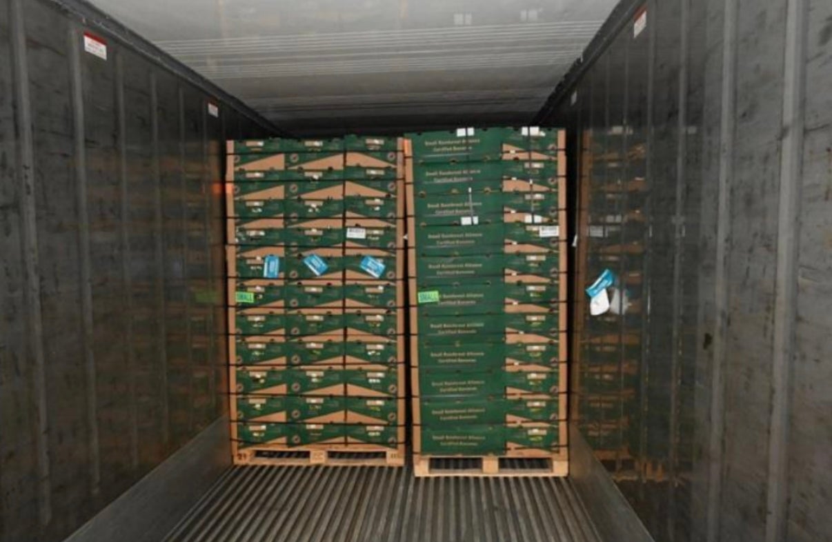 The haul, with an estimated street value of £232 million, was found hidden in a load of bananas from South America