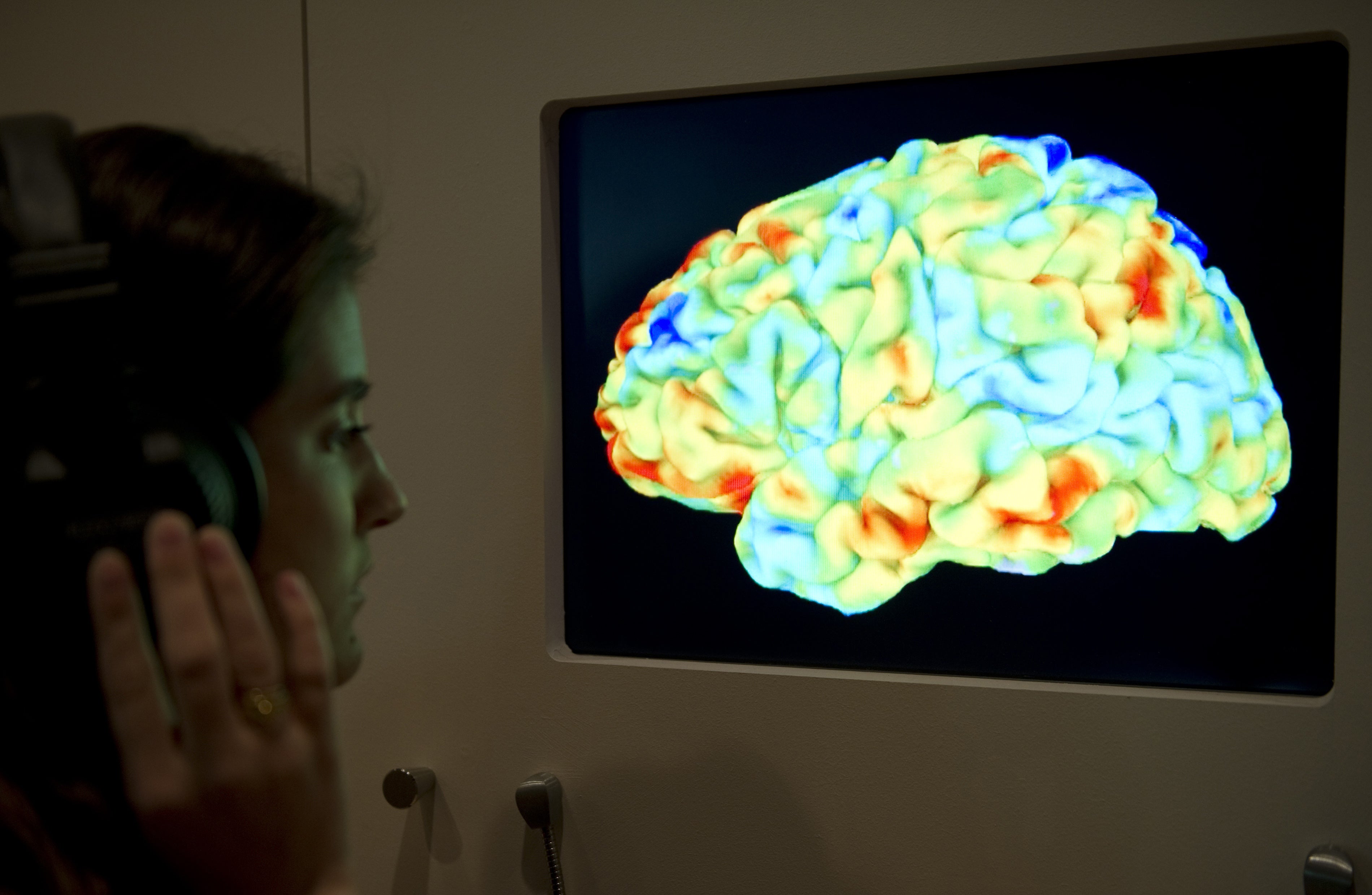 Researchers examined the brains of the participants using MRI scans before and after the retreat