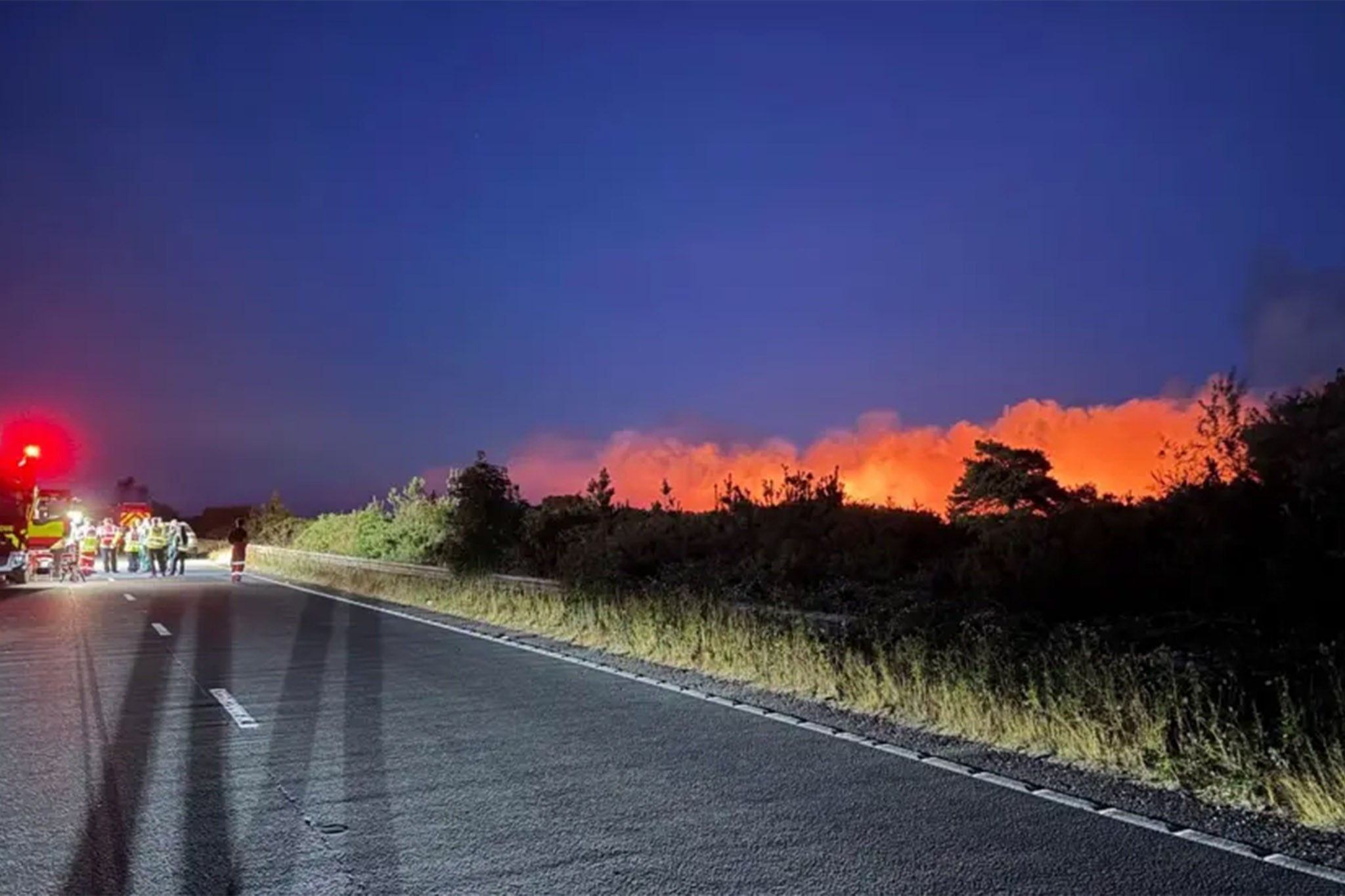 A31 closed as firefighters tackle major New Forest blaze sparked by vehicle fire