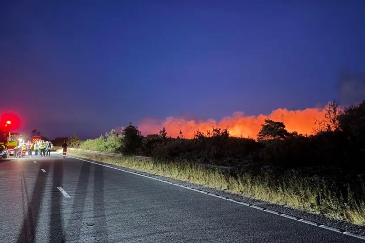 A31 closed as firefighters tackle major New Forest blaze sparked by vehicle fire