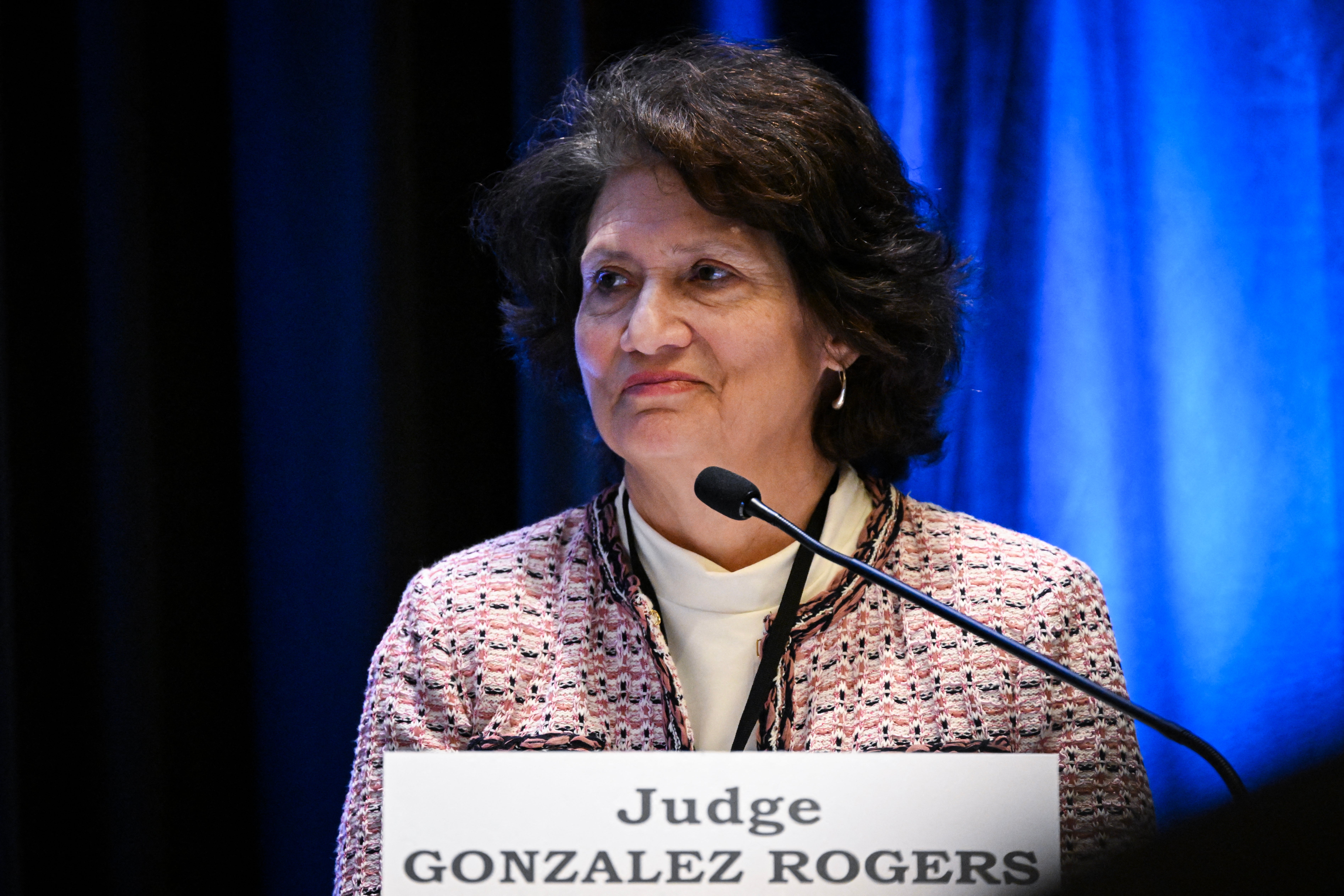 The cases, which have been centralized before U.S. District Judge Yvonne Gonzalez Rogers in Oakland, California, seek damages, penalties and restitution from the companies