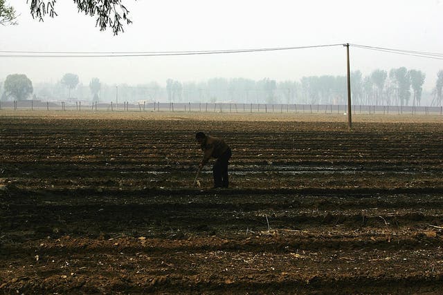 <p>Un agricultor chino trabaja en un campo en las afueras de Beijing, China, el 16 de abril de 2008 </p>