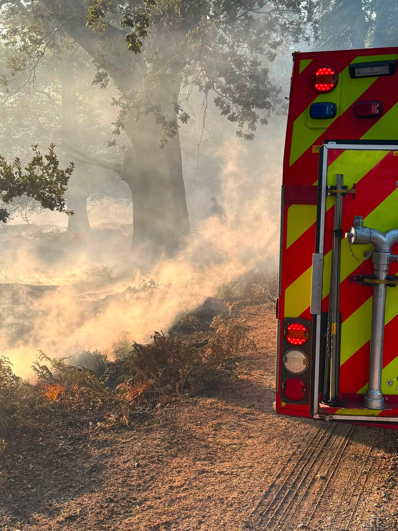 Firefighters from across Hampshire and Dorset have battled a major fire in the New Forest since Sunday