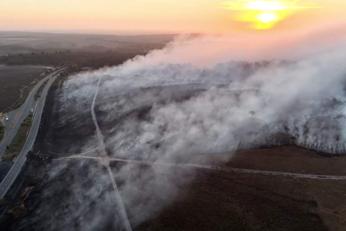 New Forest fire rages on as firefighters battle ‘devastating’ blaze for a third day