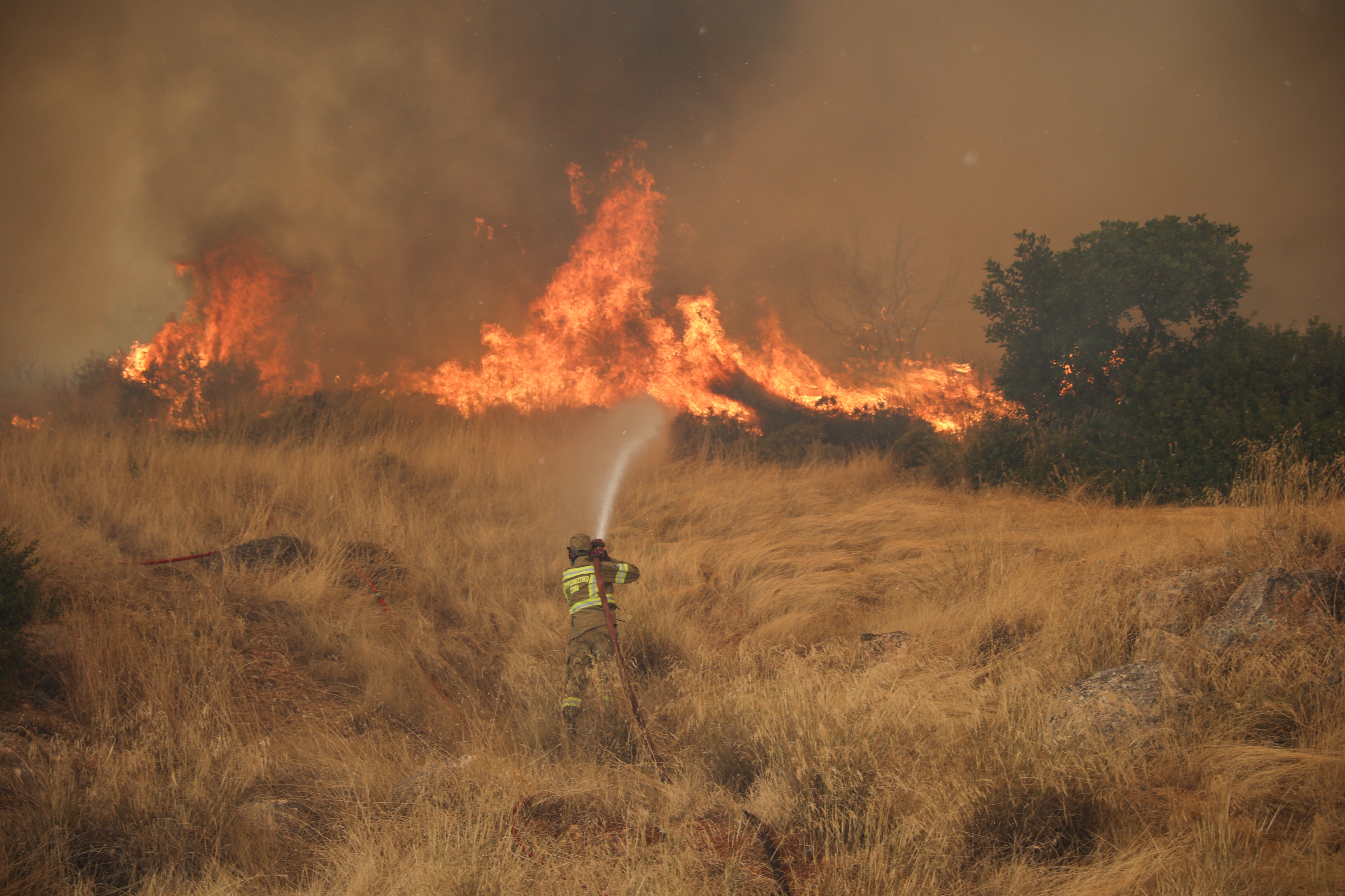 At least five firefighters have been killed