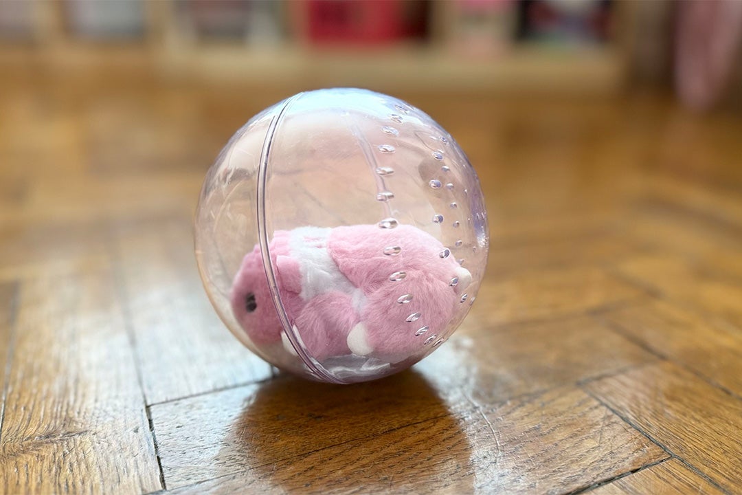 This is the perfect screen-free activity (Sarah Jones/The Independent)