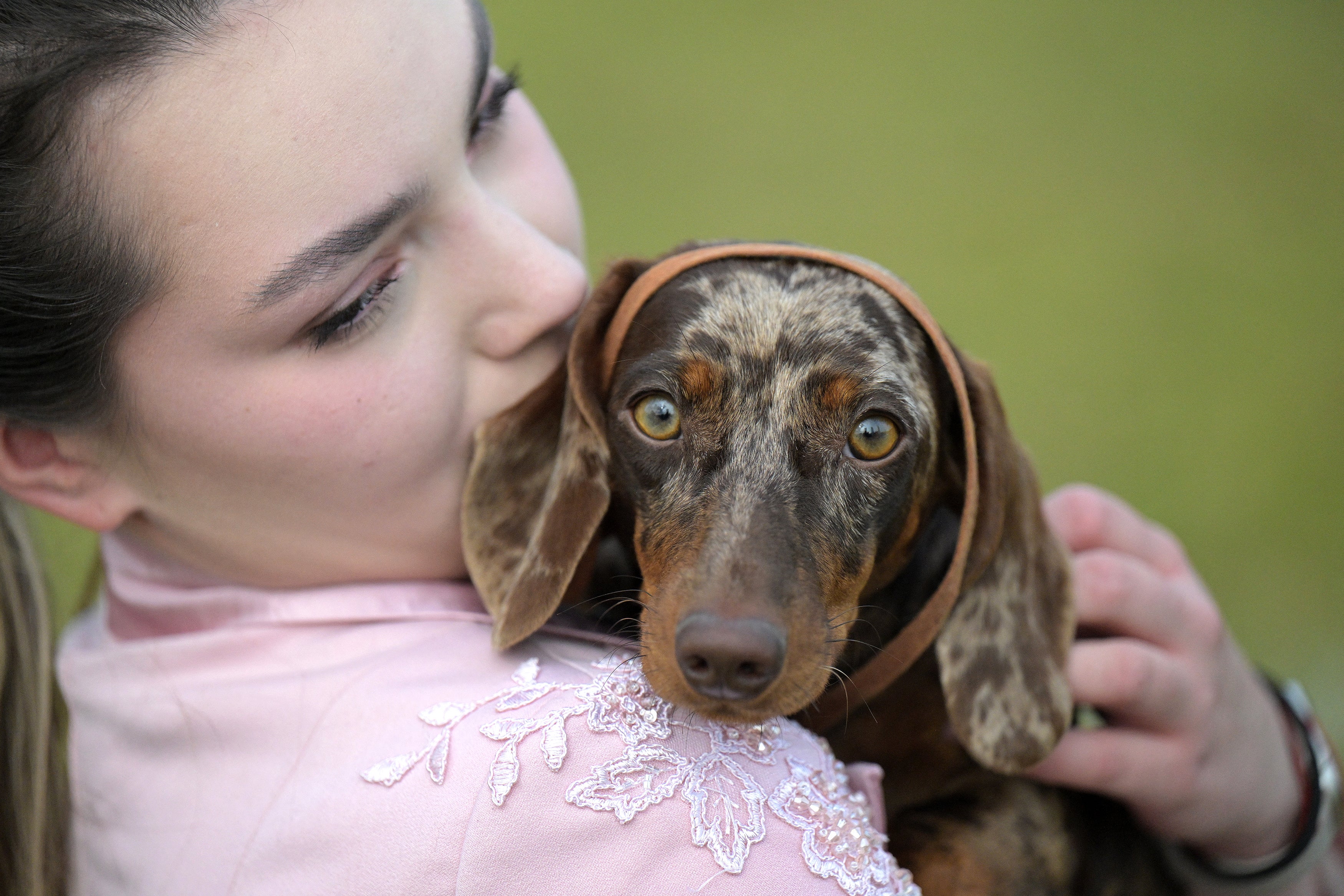 These are the most popular dog names in America