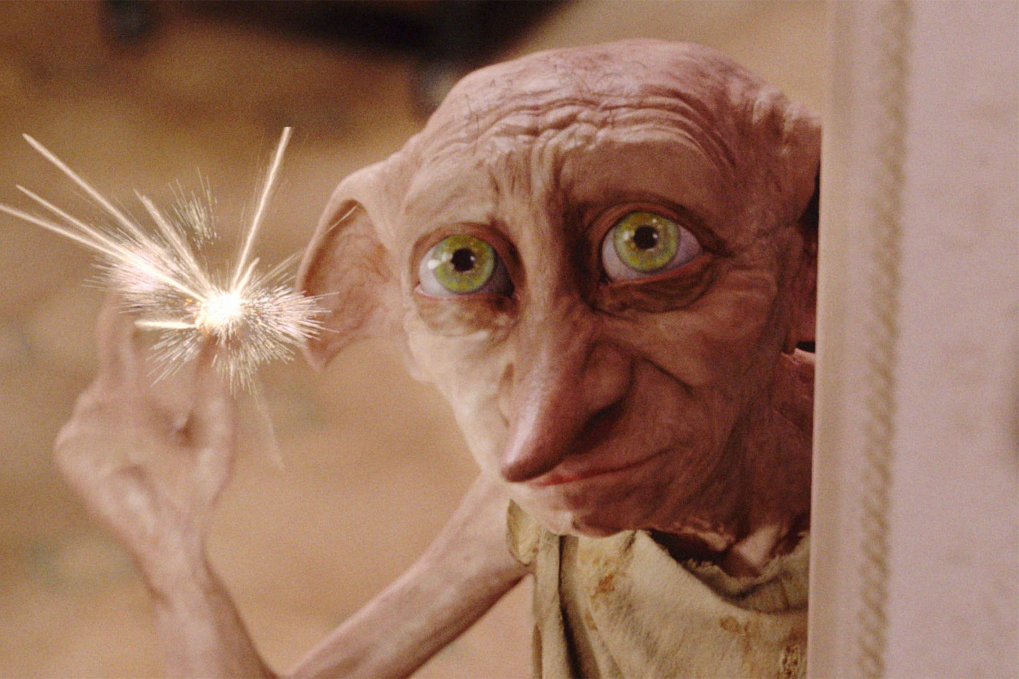 Harry Potter Adults have gone too far. They must be stopped
