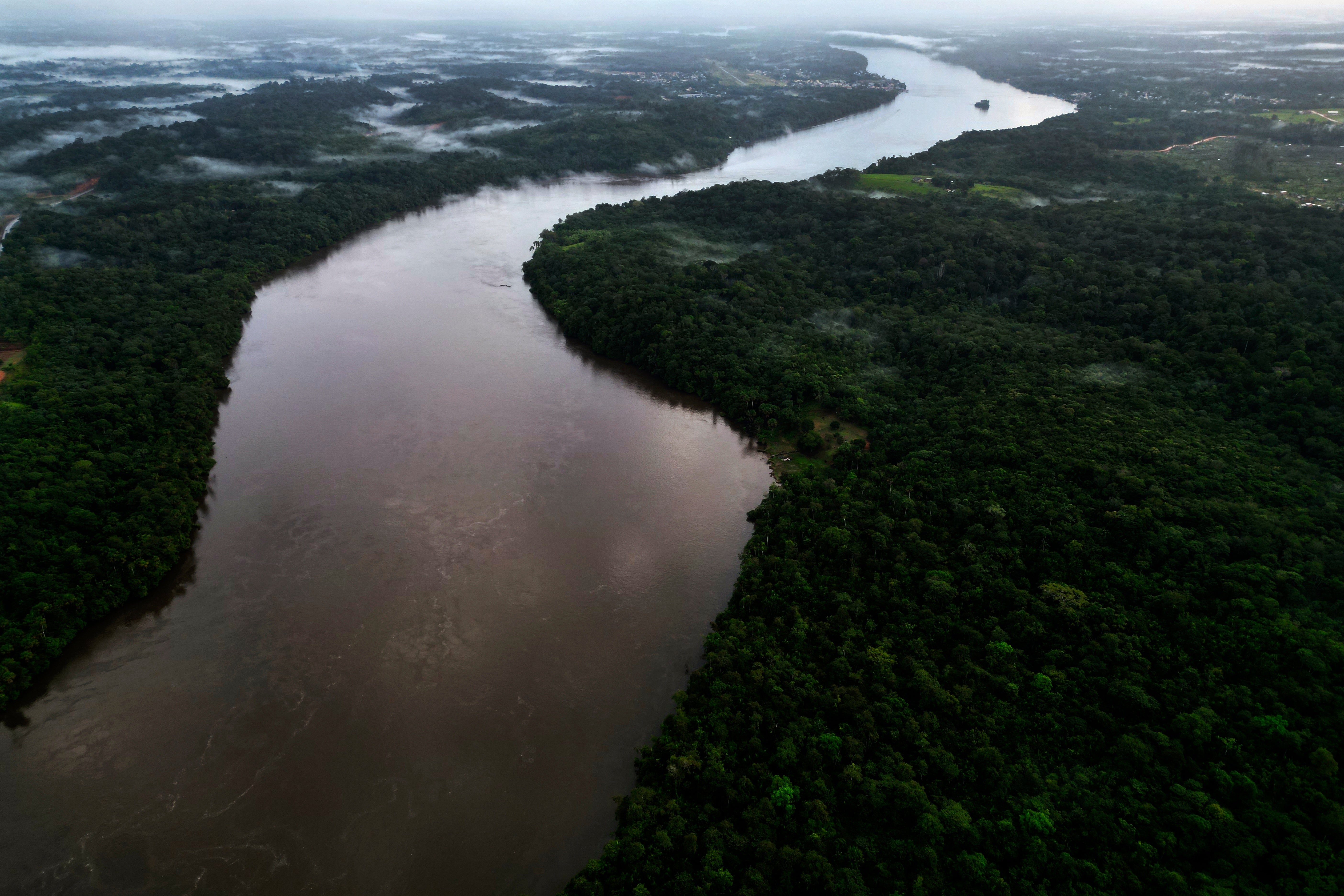 BRASIL-AMAZONÍA-CASOS JUDICIALES