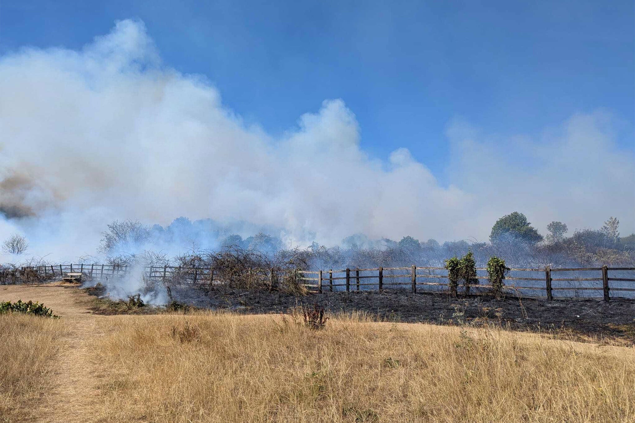 Smoke billowed from the park and over Exeter as fire crews raced to tackle the blaze