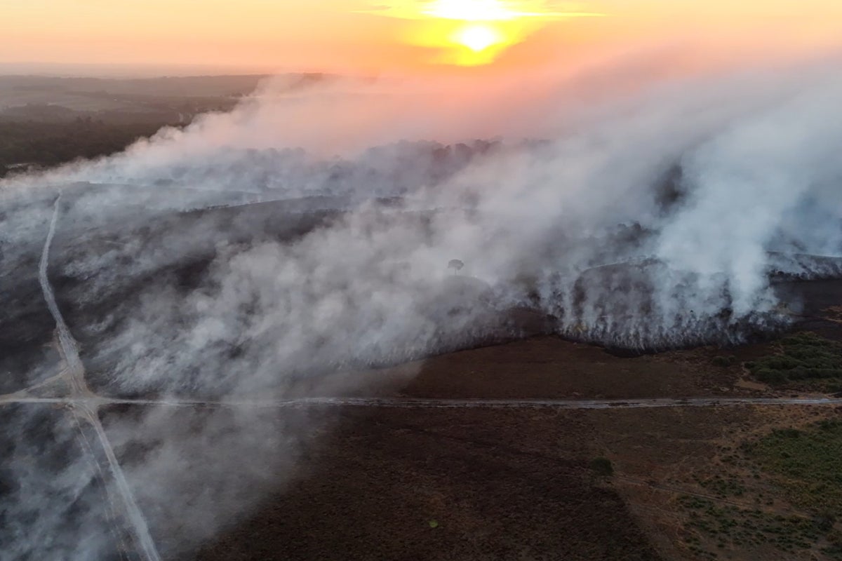 Mapped: The wildfires scorching the UK during summer of record heatwaves