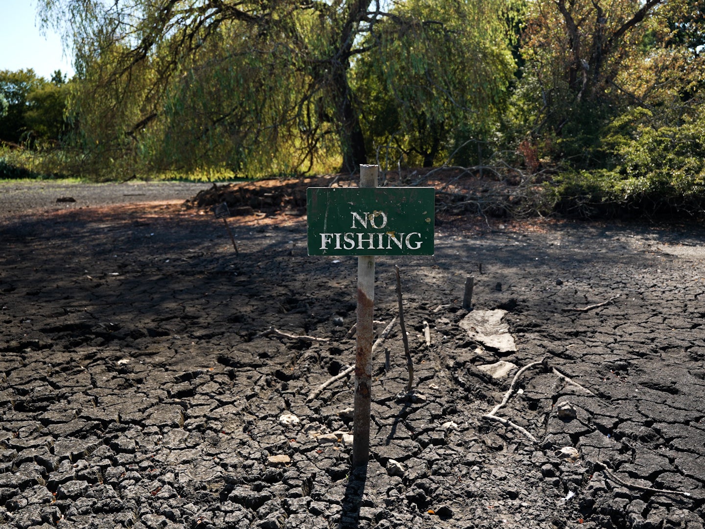 Falmer Pond in East Sussex is so dry the surface is cracked
