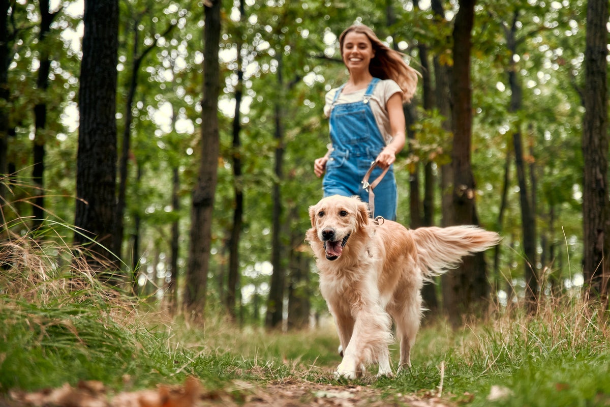 Talking to your pets like babies may have benefits you didn’t expect