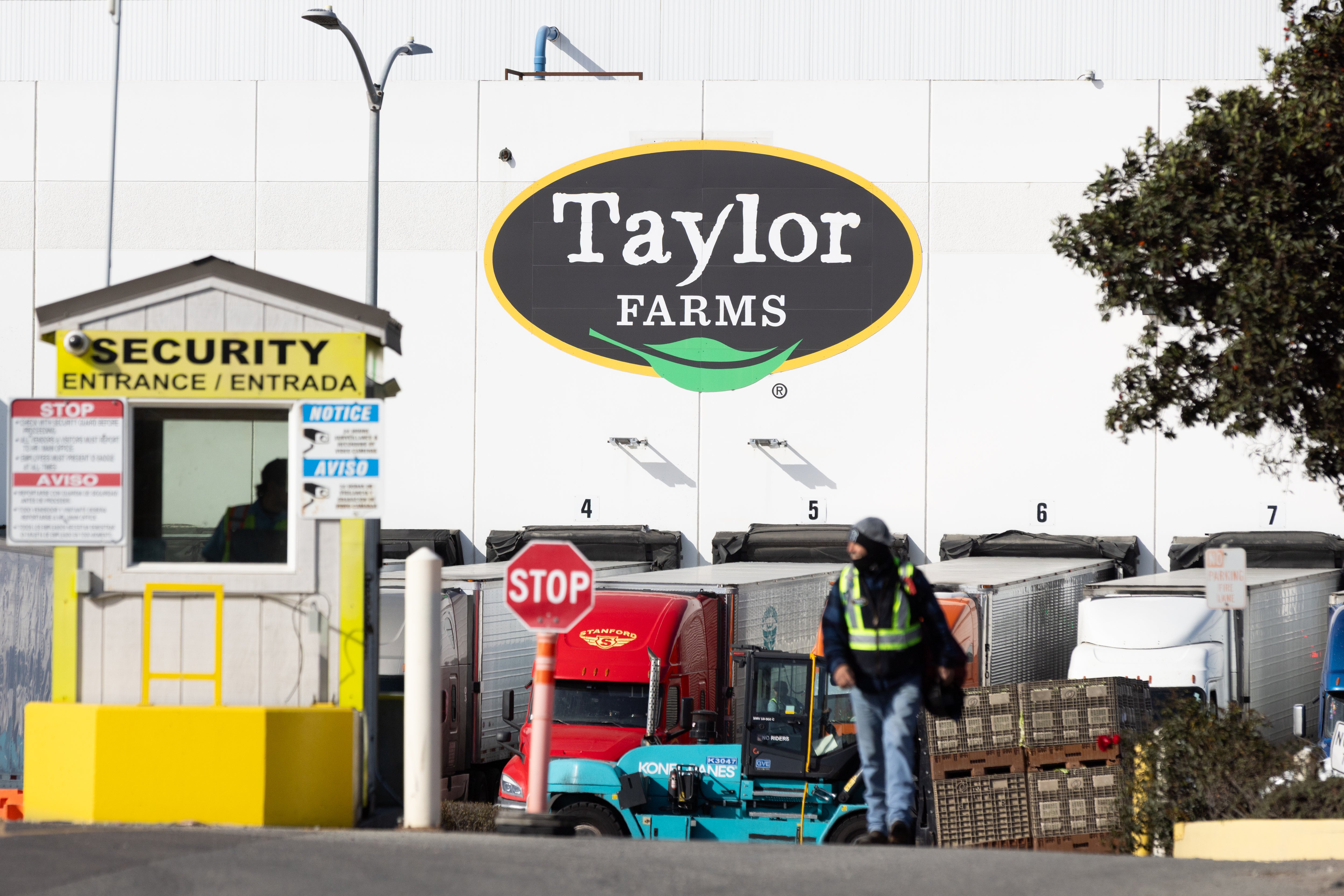 independent.co.uk - J.R. Duren - Can Taylor Farms survive explosive diarrhea and salmonella outbreak?