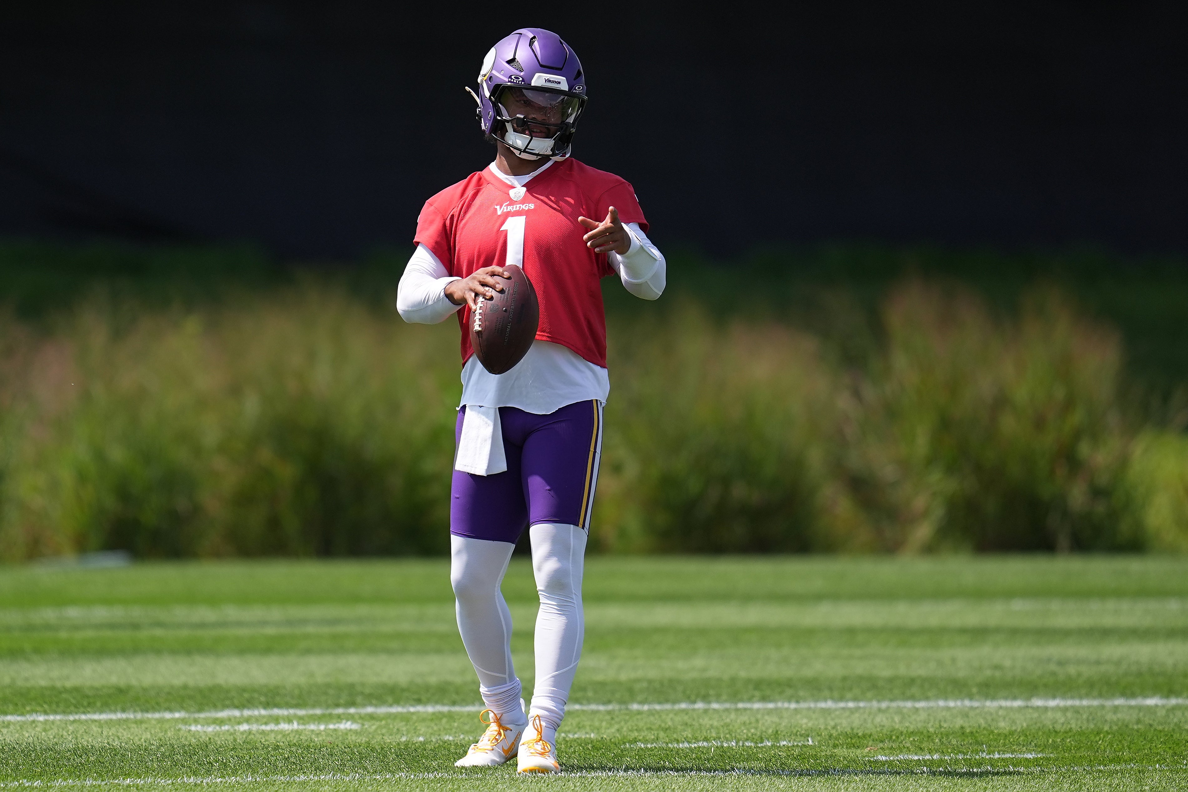VIKINGS-QBS