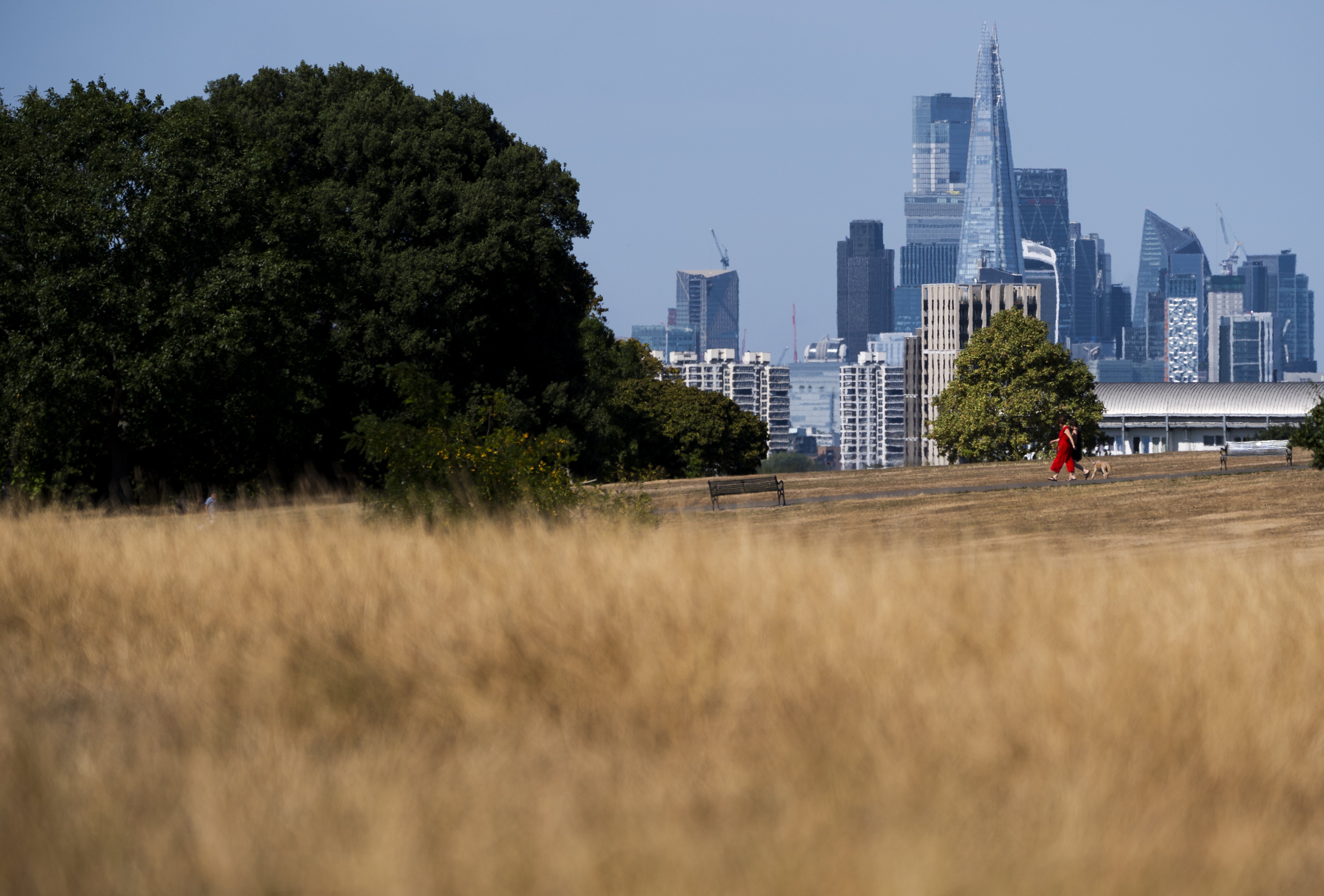UK braces for 33C heat as Burnham chairs Cobra meeting; drought leaves nearly three-quarters of England in drought status