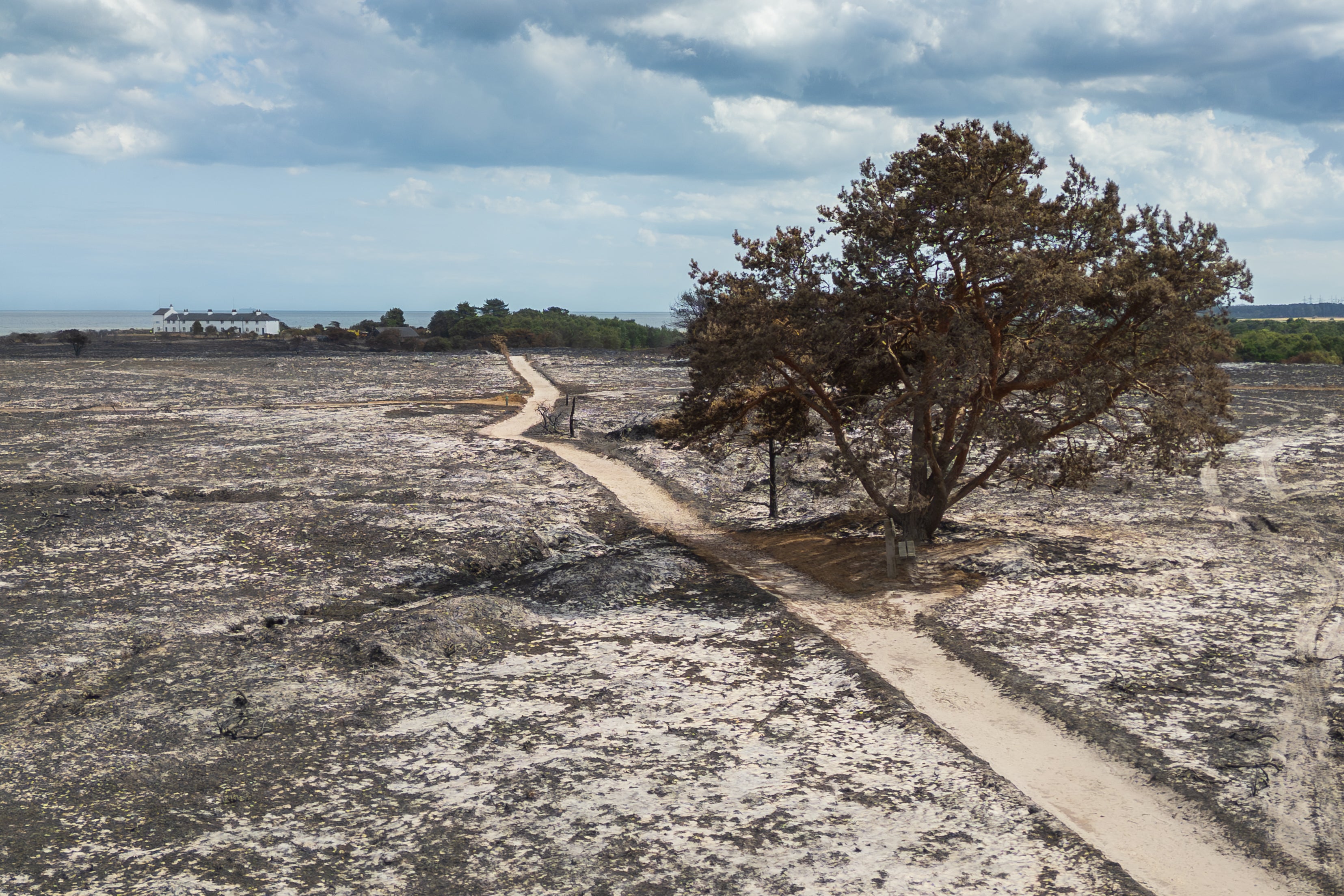 Coastal winds are stirring up ash and debris, rabbit burrows and warrens have retained significant heat and trees with burnt root systems are vulnerable to collapse, the National Trust said