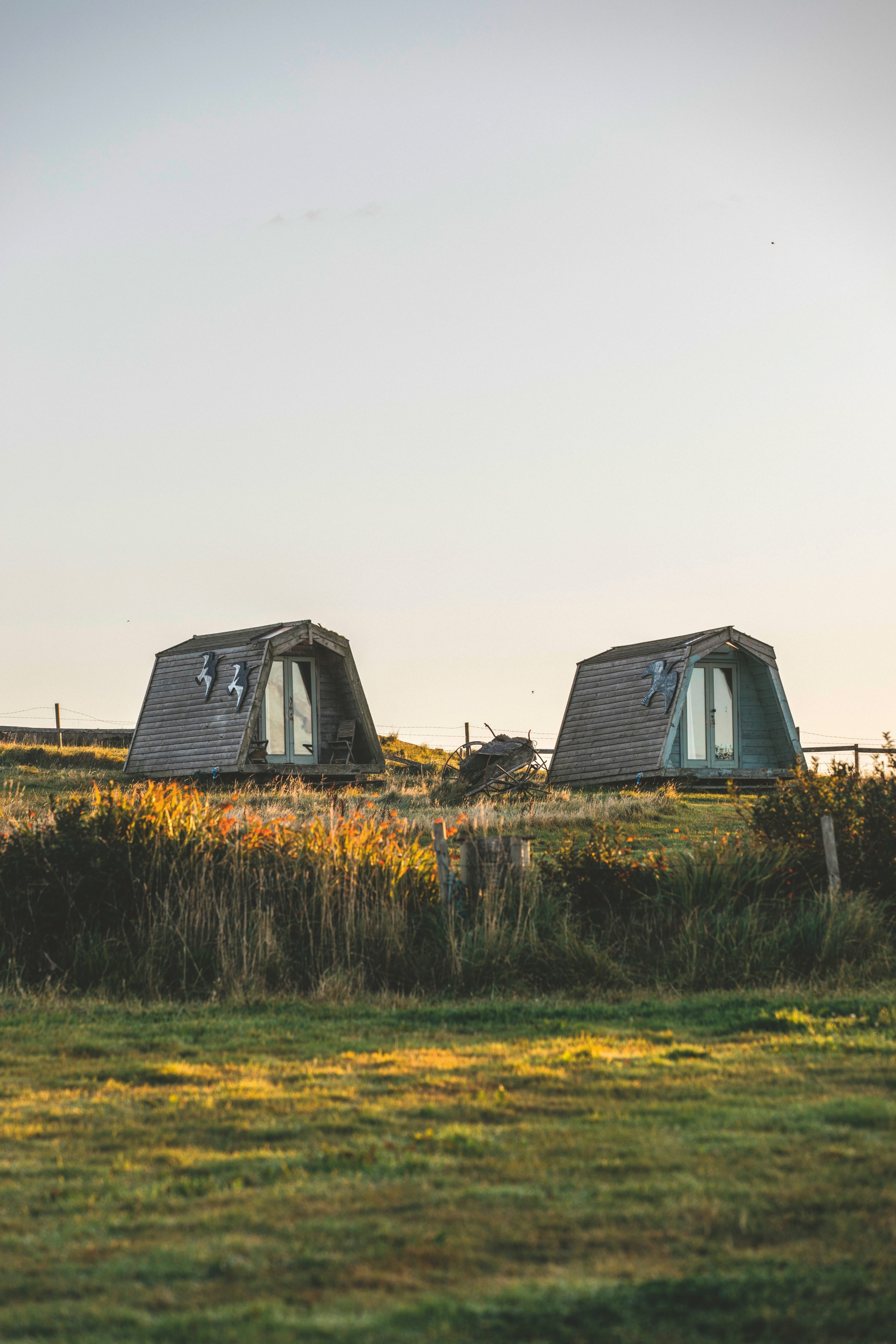 Wild Orcardian is half campsite, half organic farm