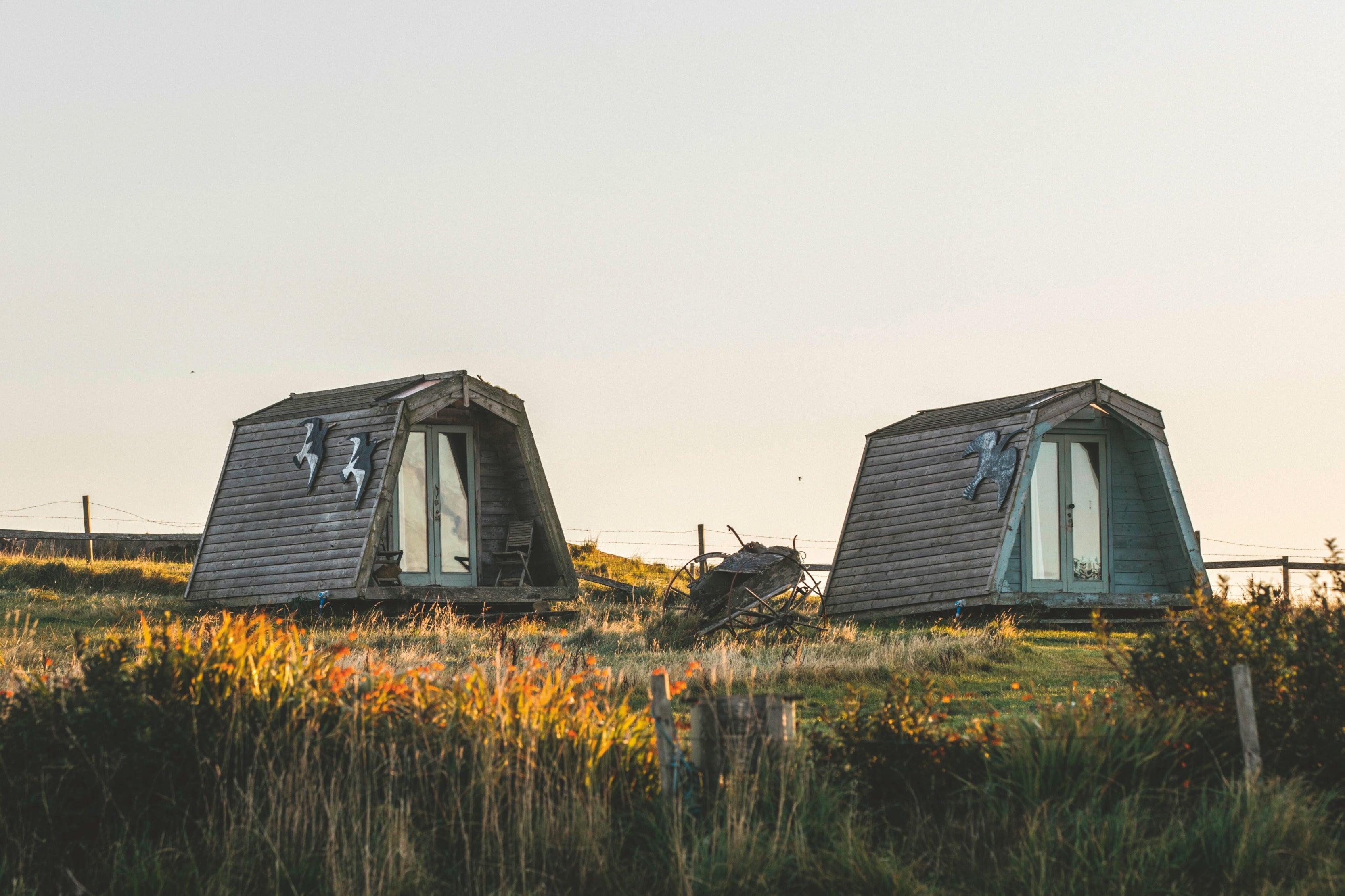 Wild Orcardian is half campsite, half organic farm (Harper Collins)