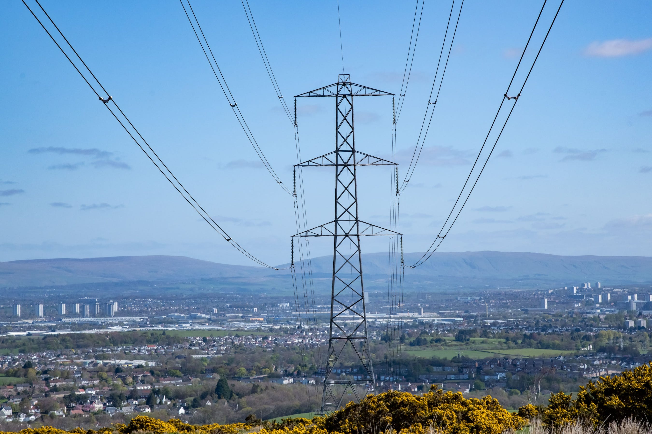 independent.co.uk - Henry Saker-Clark - Electricity grid operator cancels power call ahead of eclipse