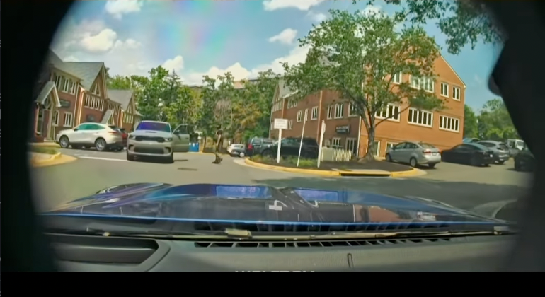 Dashcam footage from Carolina Molina, posted online, shows the moment she drove past federal agents and shouted insults at them while in a parking lot (tinyandstrongthings / Instagram)