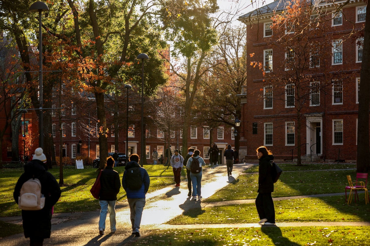 Foreign student enrollment to fall 10% at US colleges thanks to Trump’s agenda, report says