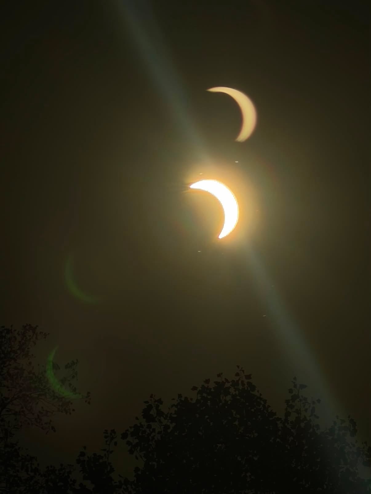 A photograph of the eclipse as seen from Kensington Gardens on Wednesday (Taryn Kaur Pedler)