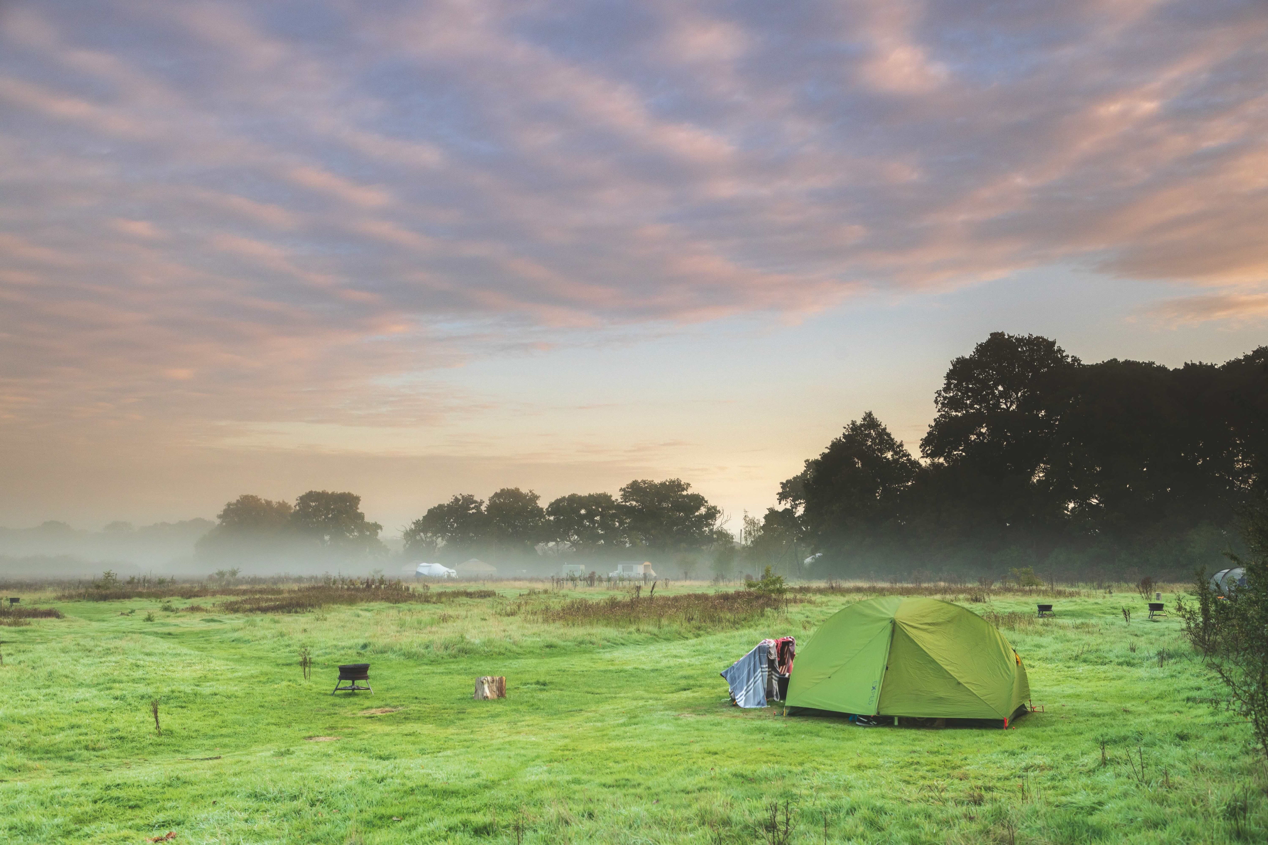 The Knepp Estate’s 3,500 acres have been transformed by a rewinding project