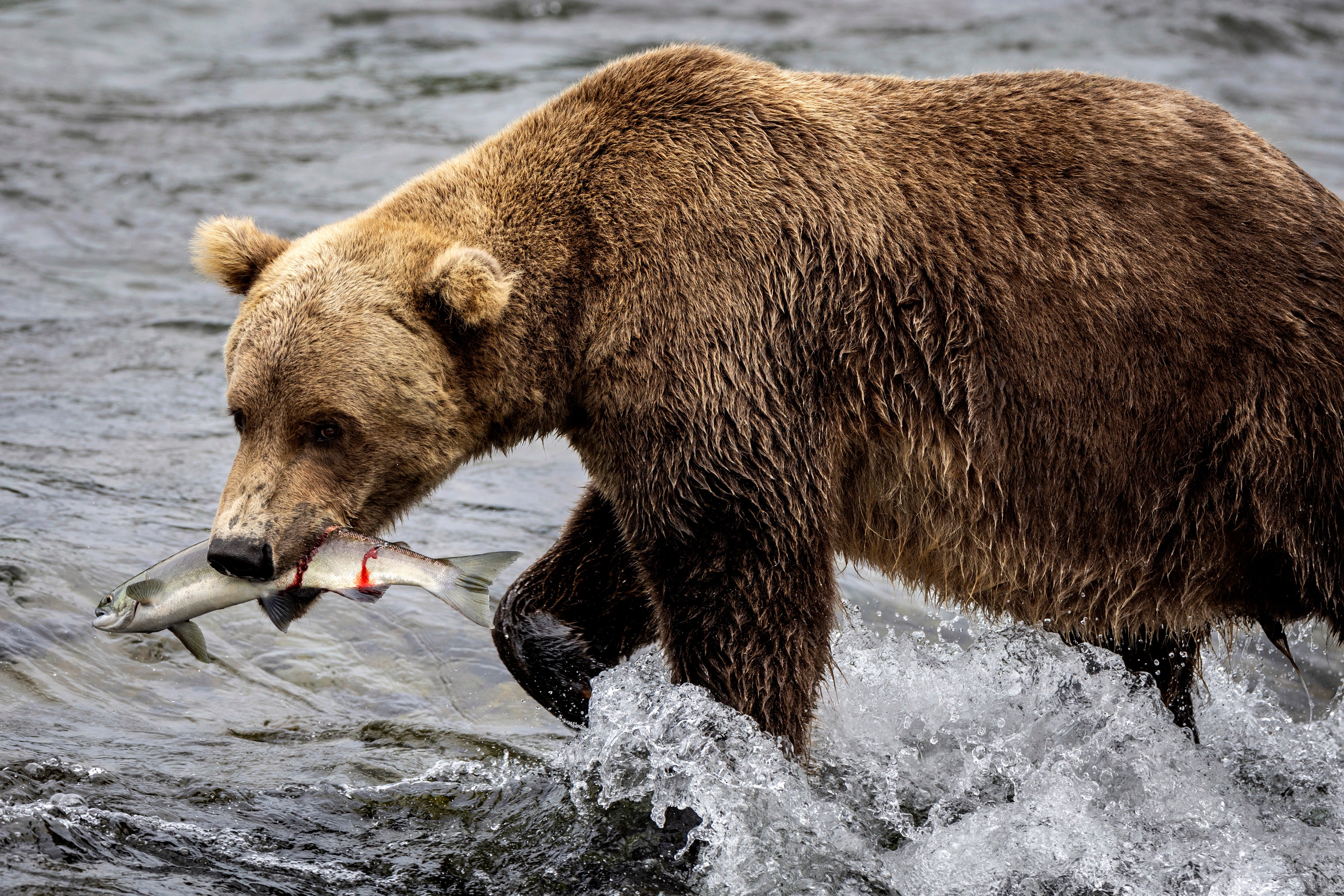 An Alaskan community is split on a plan to create a gold mine in the middle of a national park amid environmental concerns