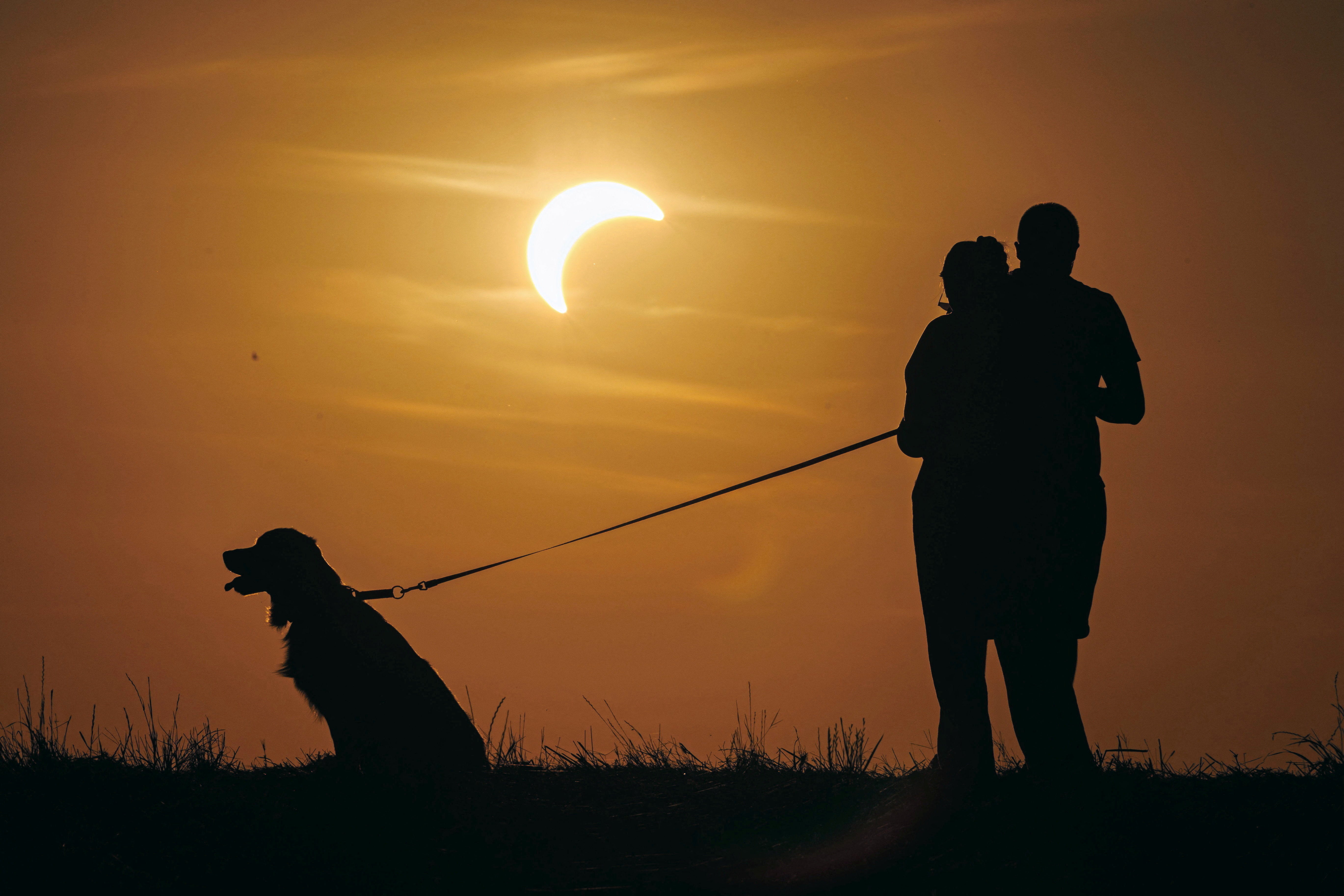 People stand with a dog during a partial solar eclipse in Poznan, Poland, August 12, 2026 (Reuters)
