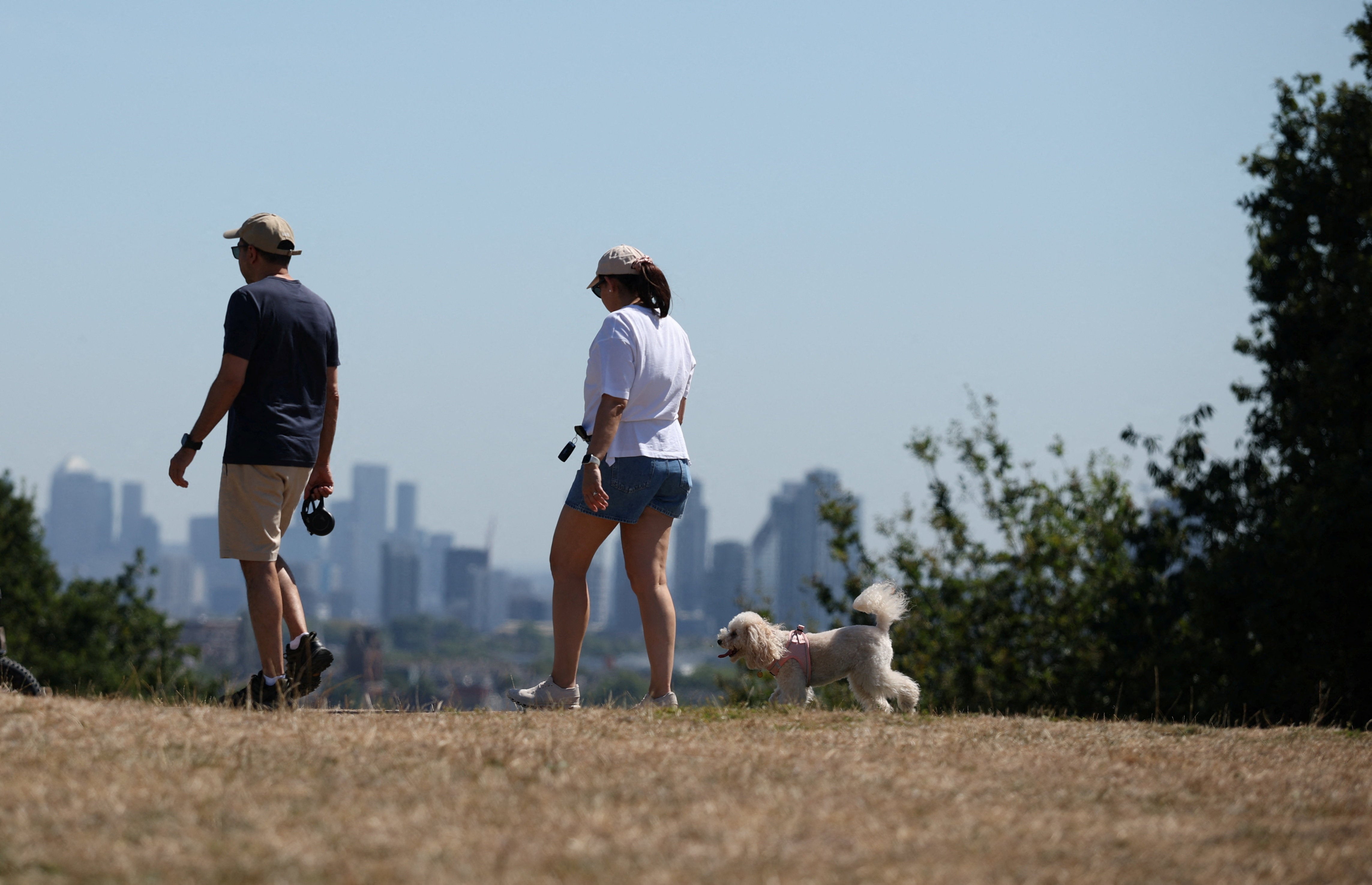 People walk a dog across sun-scorched grassland at Parliament Hill, Hampstead Heath
