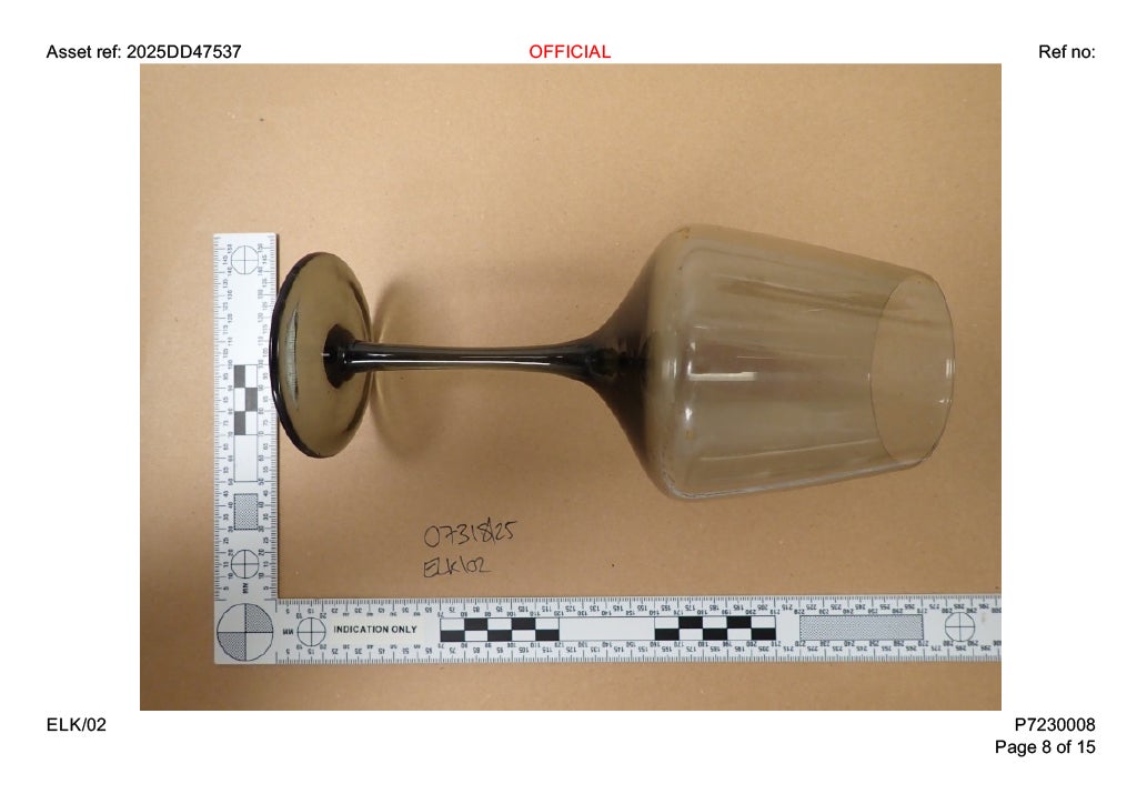 Mihai's DNA was found on a wine glass at Malcolm King's home (Thames Valley Police)