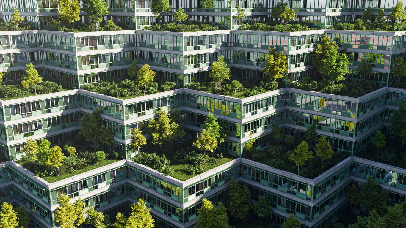 One way to help cool buildings is to install green roofs