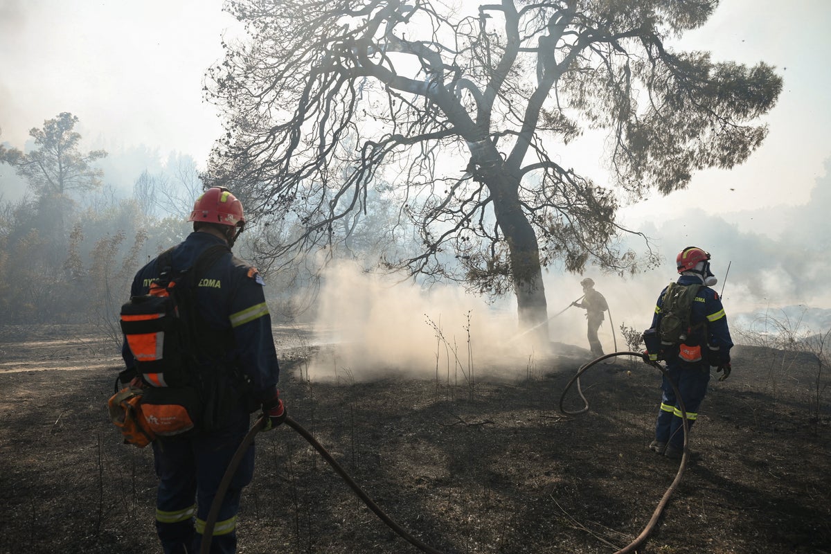 Greek wildfires force tourists to flee resorts at peak holiday season