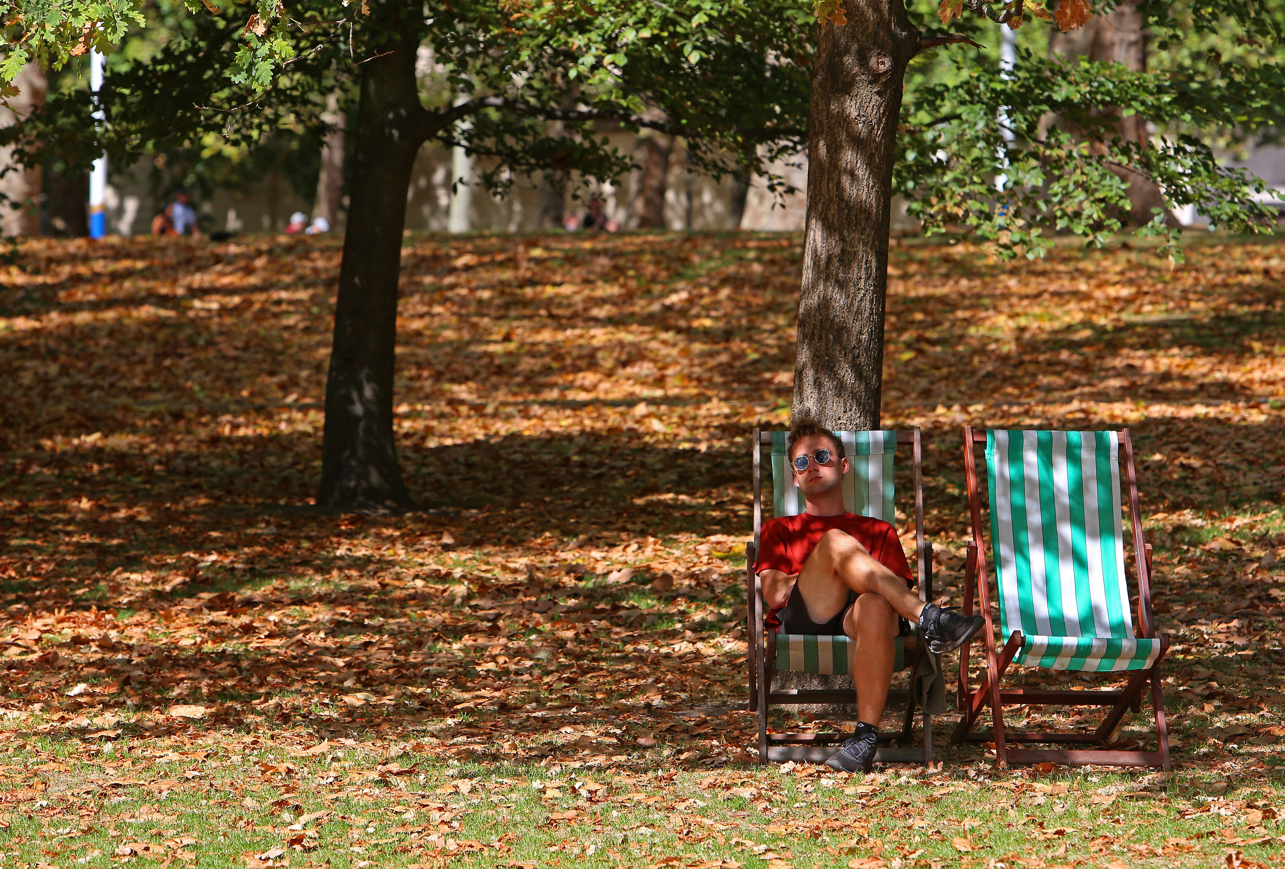 A 'false autumn' is under way, where trees drop their brown leaves - because they are so dry