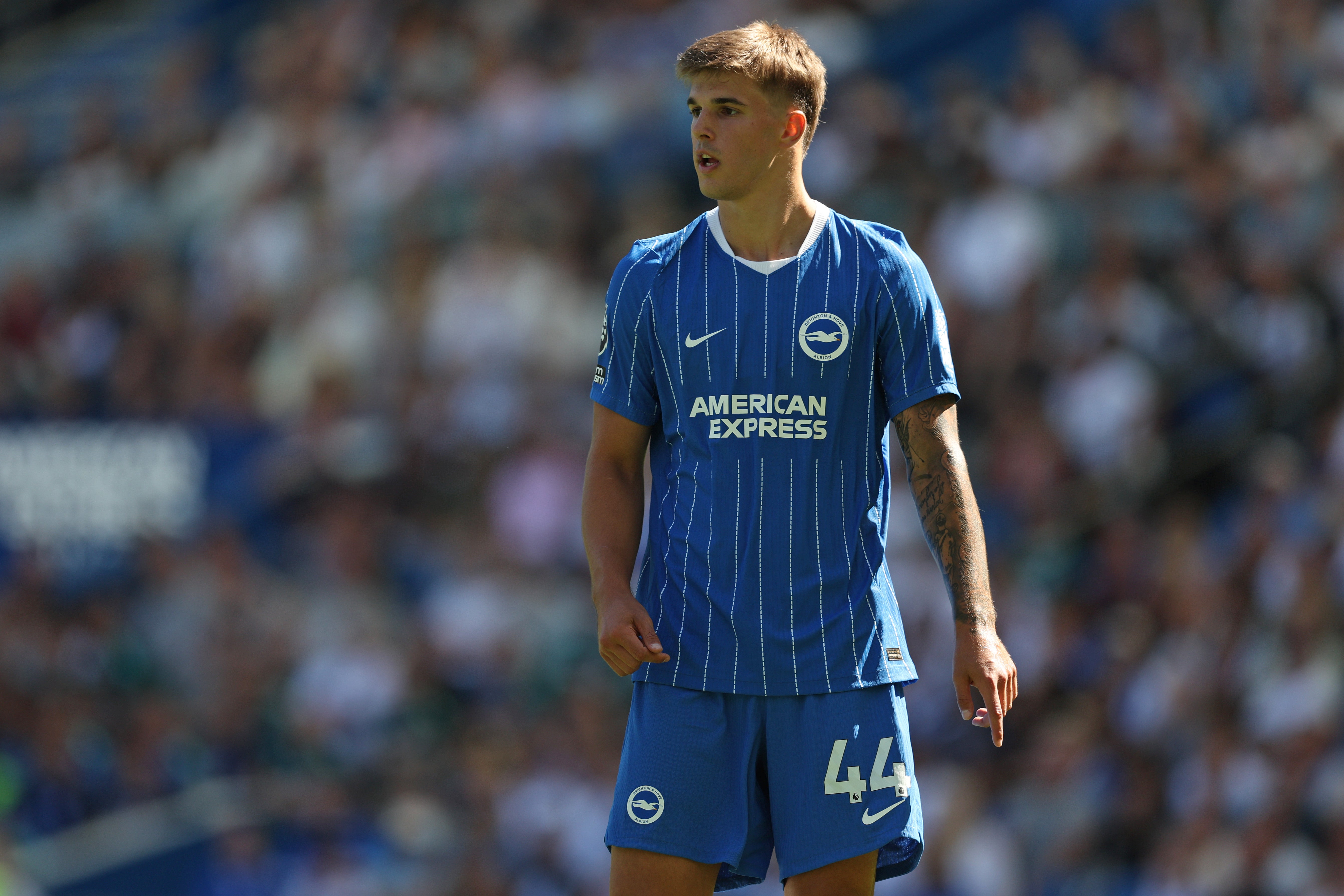 Brighton signed Croatia international Vuskovic from Tottenham while Jan Paul van Hecke went the other way (Getty)