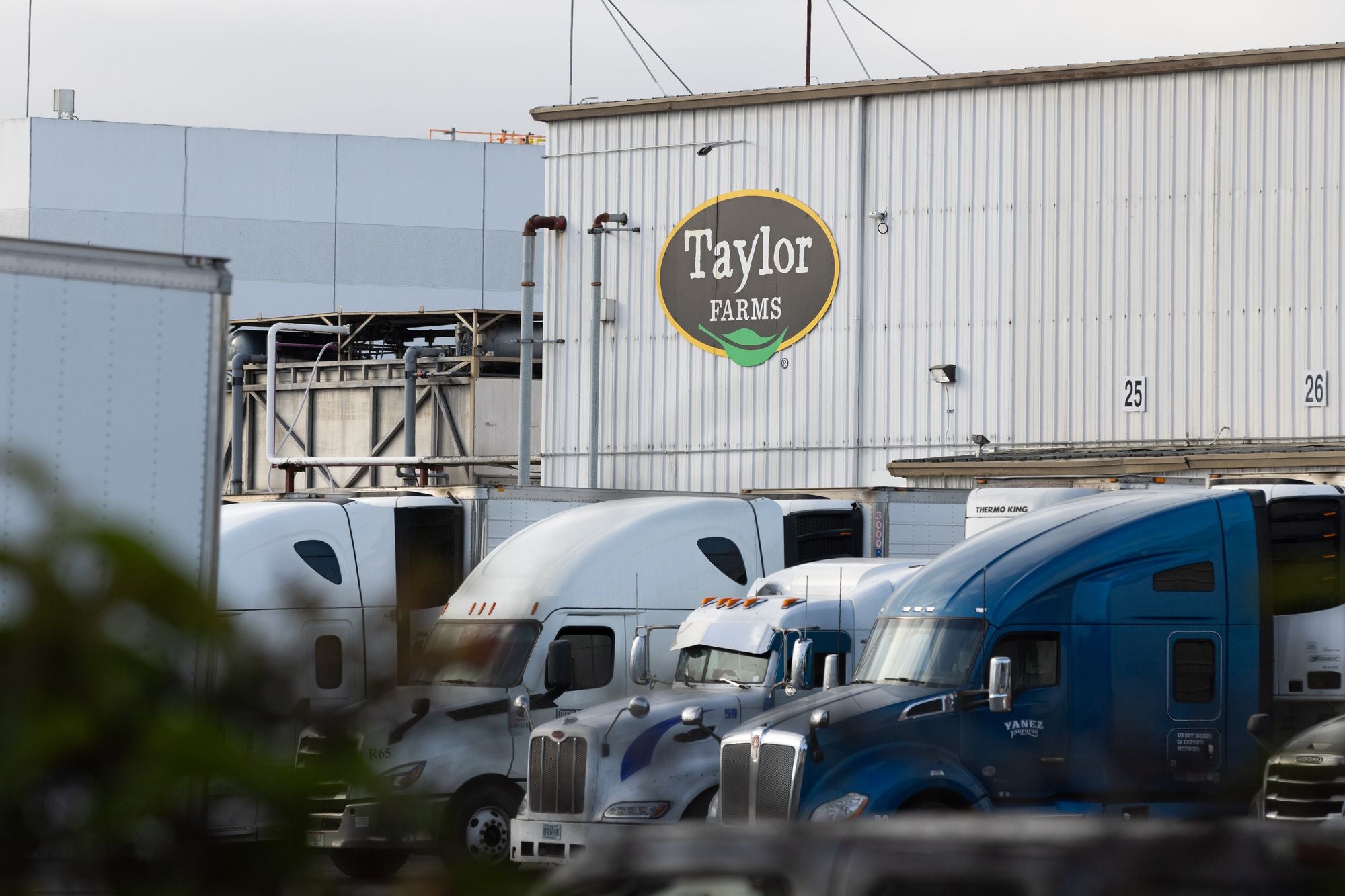 A Taylor Farms spokesperson previously told The Independent that the company ‘immediately removed all potentially implicated product from the marketplace’ when questions arose about the source of the outbreak.