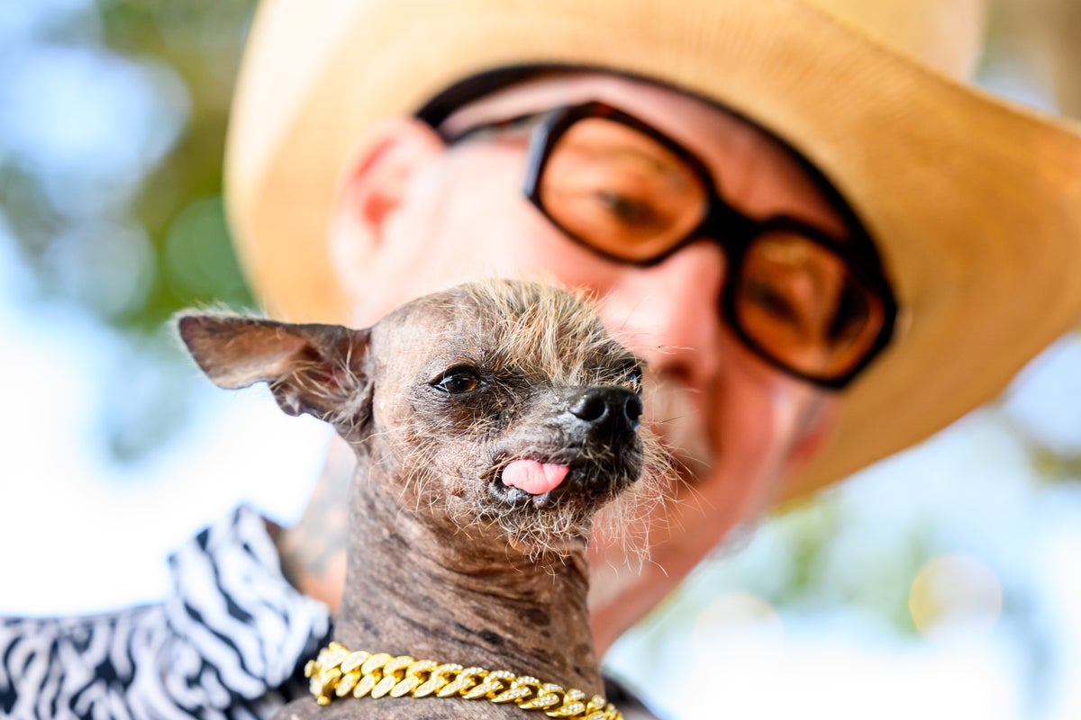 World’s Ugliest Dog Contest Held at Sonoma County Fair