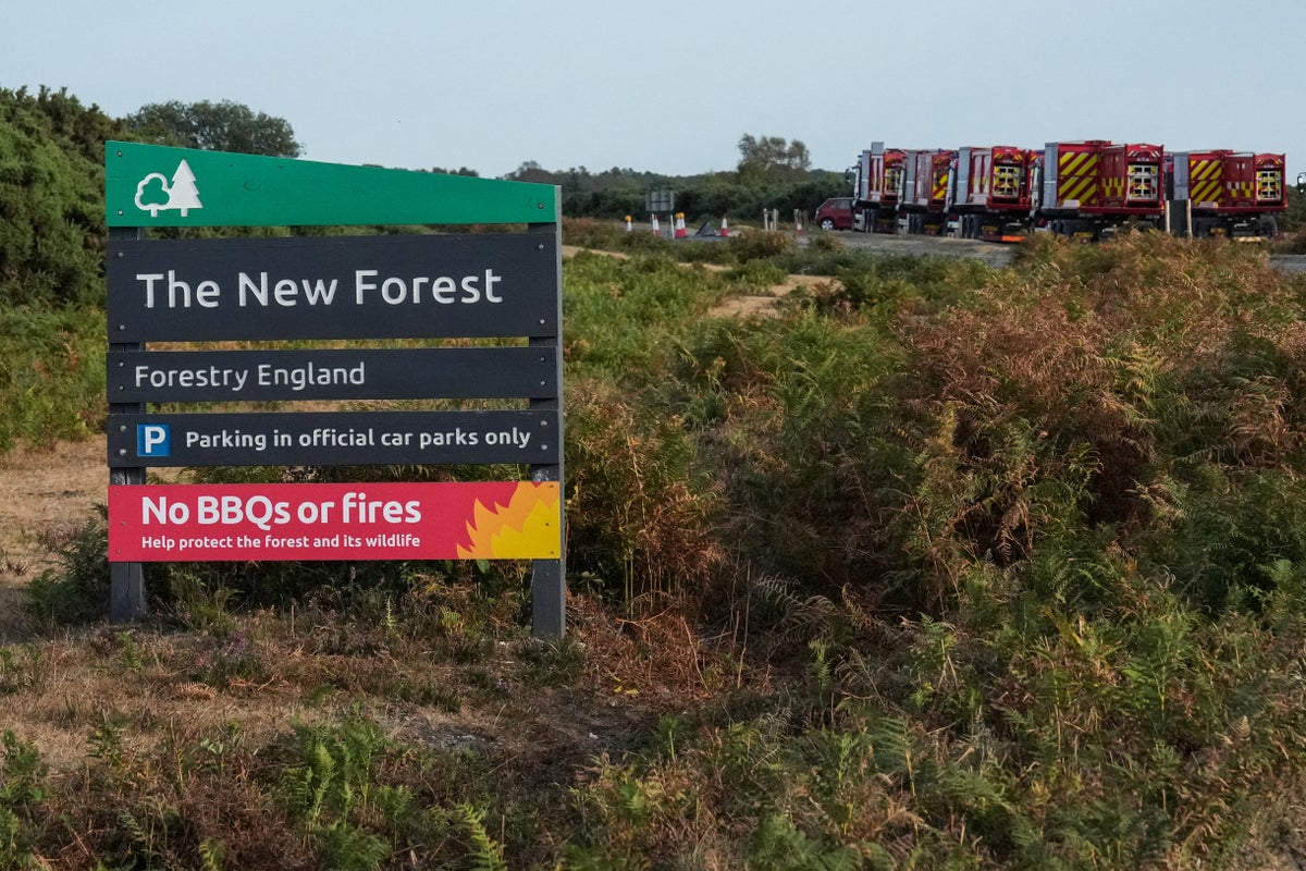 Wildfires prompt emergency alert as blaze in New Forest enters seventh day