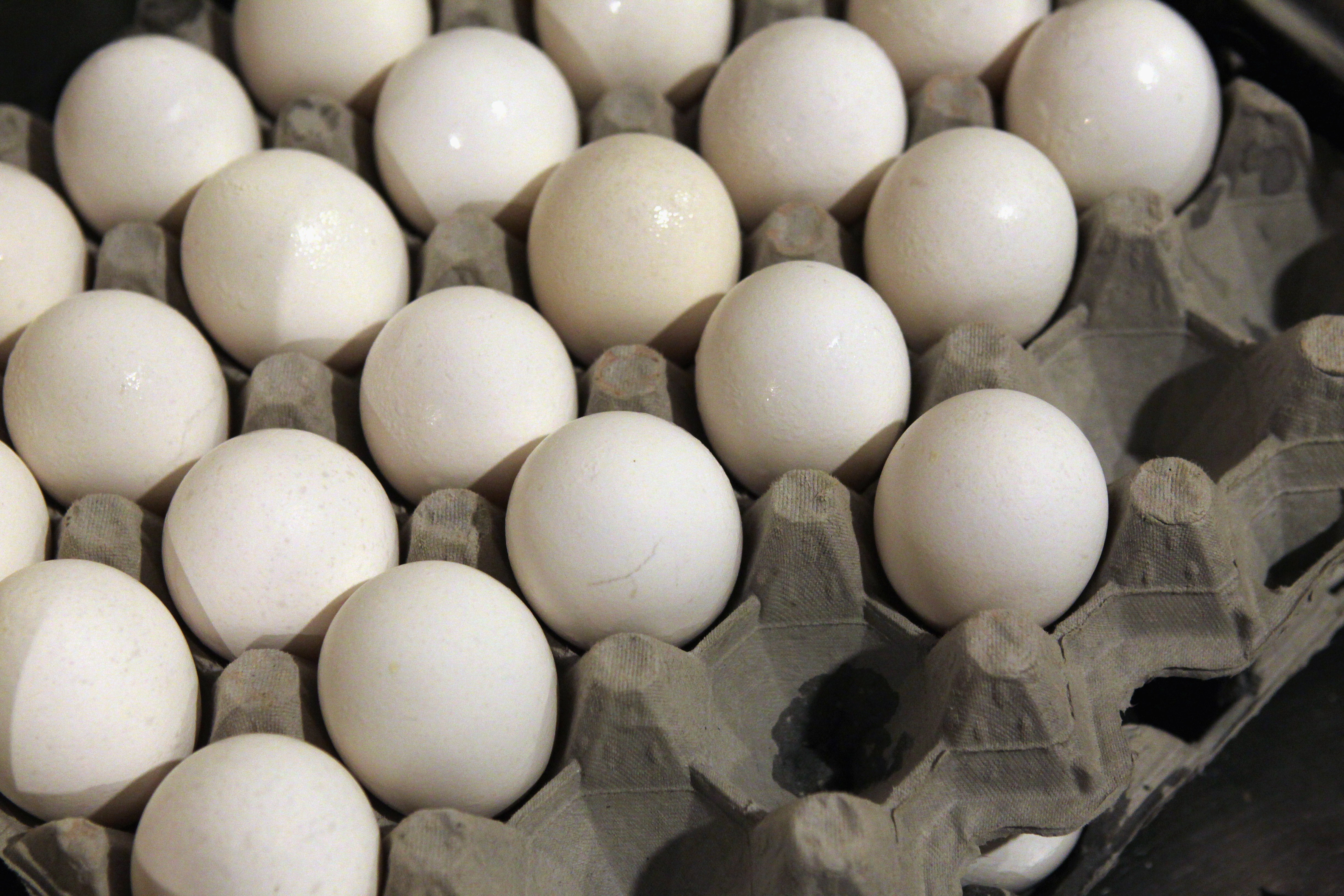 The recall applies to 19 million eggs