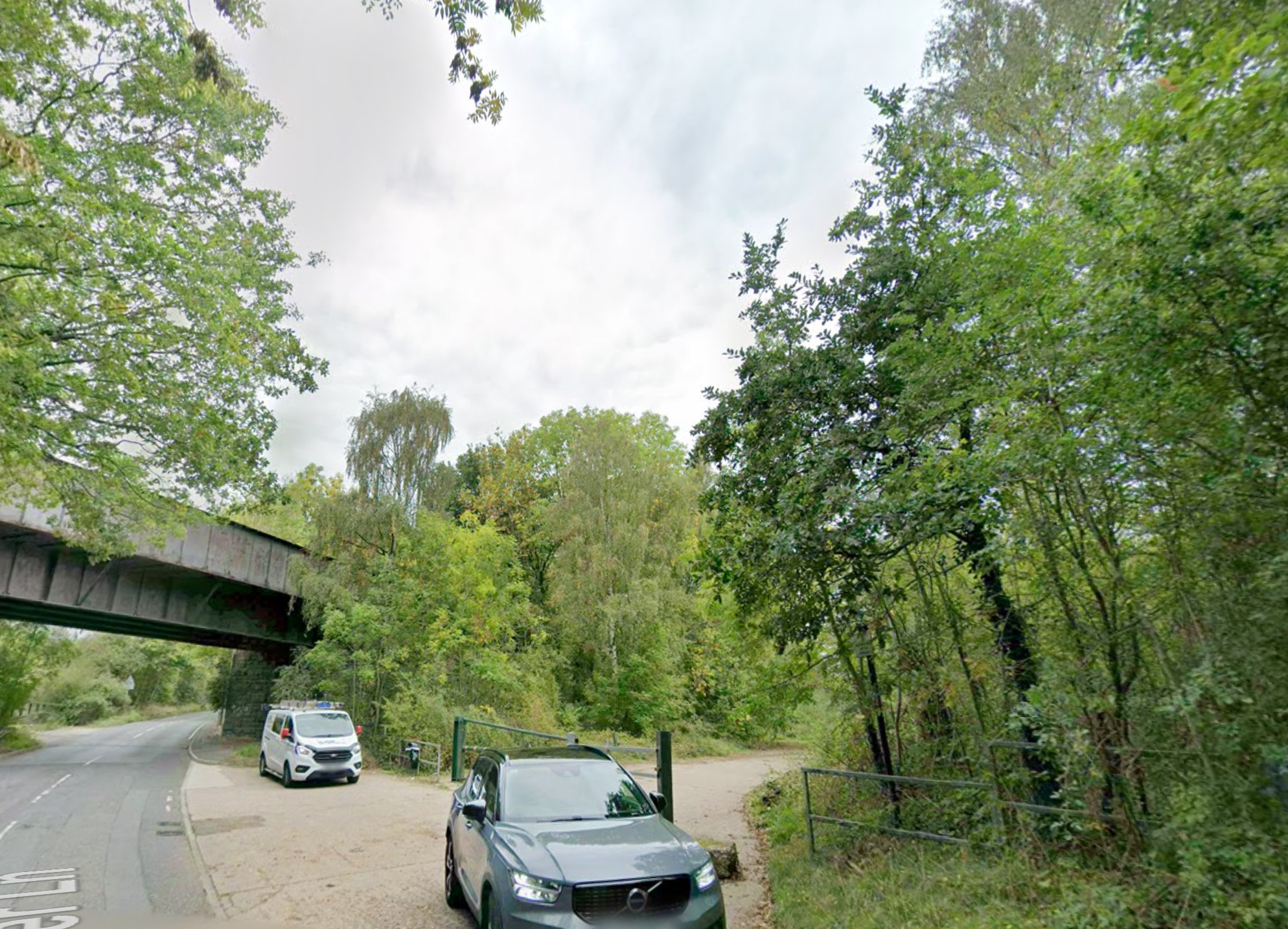 Murder investigation launched after man bitten by dog dies