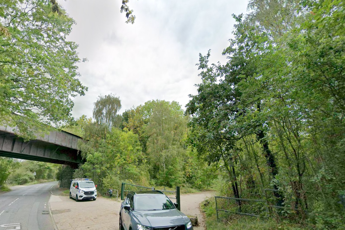 Murder investigation launched after man bitten by dog dies