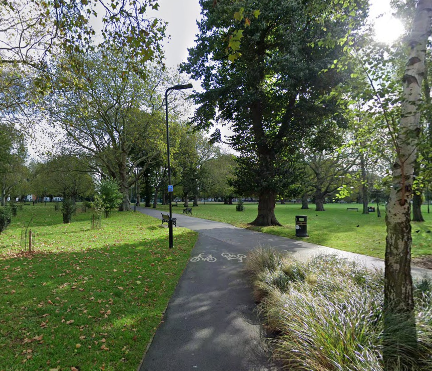 Man charged with arson after park fires