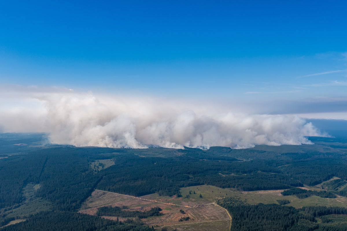 Hundreds evacuated as wildfires rage through nature reserve in Belgium