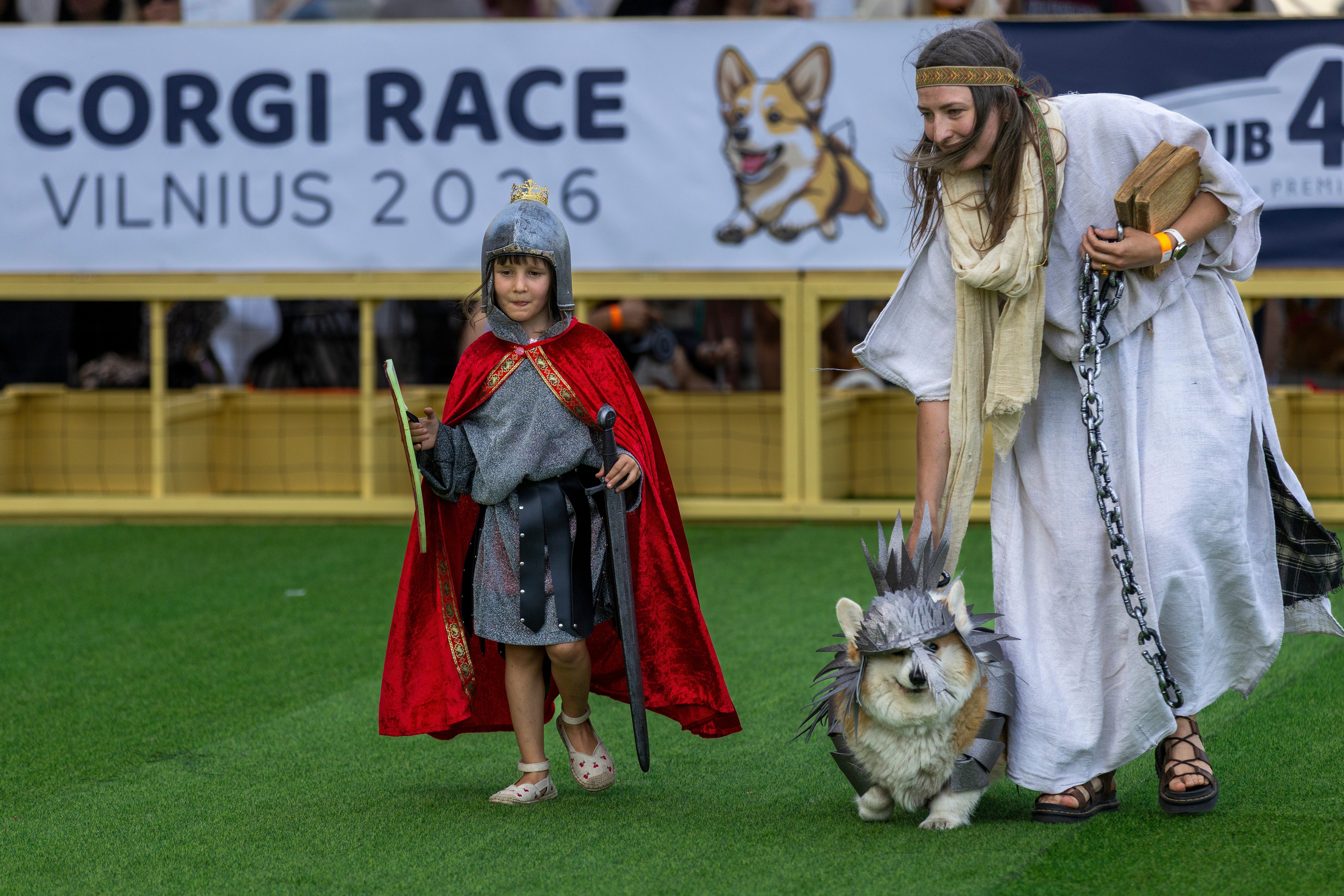 Amigo won both a four-member jury vote and a Facebook poll with a knight-themed costume