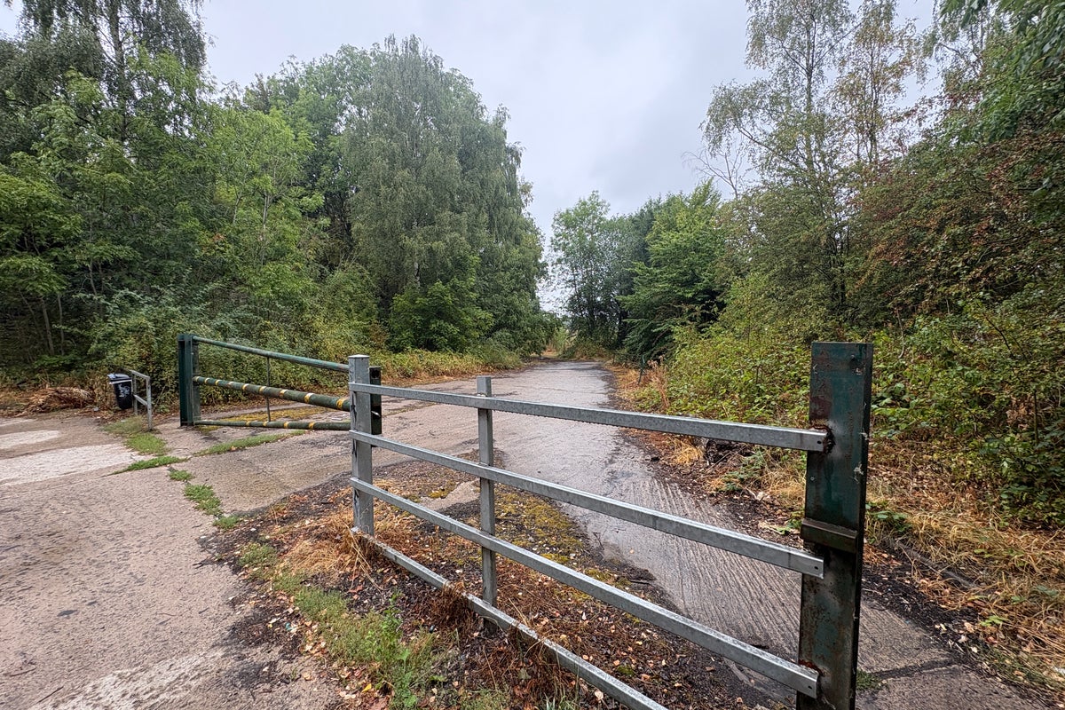 Man arrested on suspicion of murder following fatal dog attack