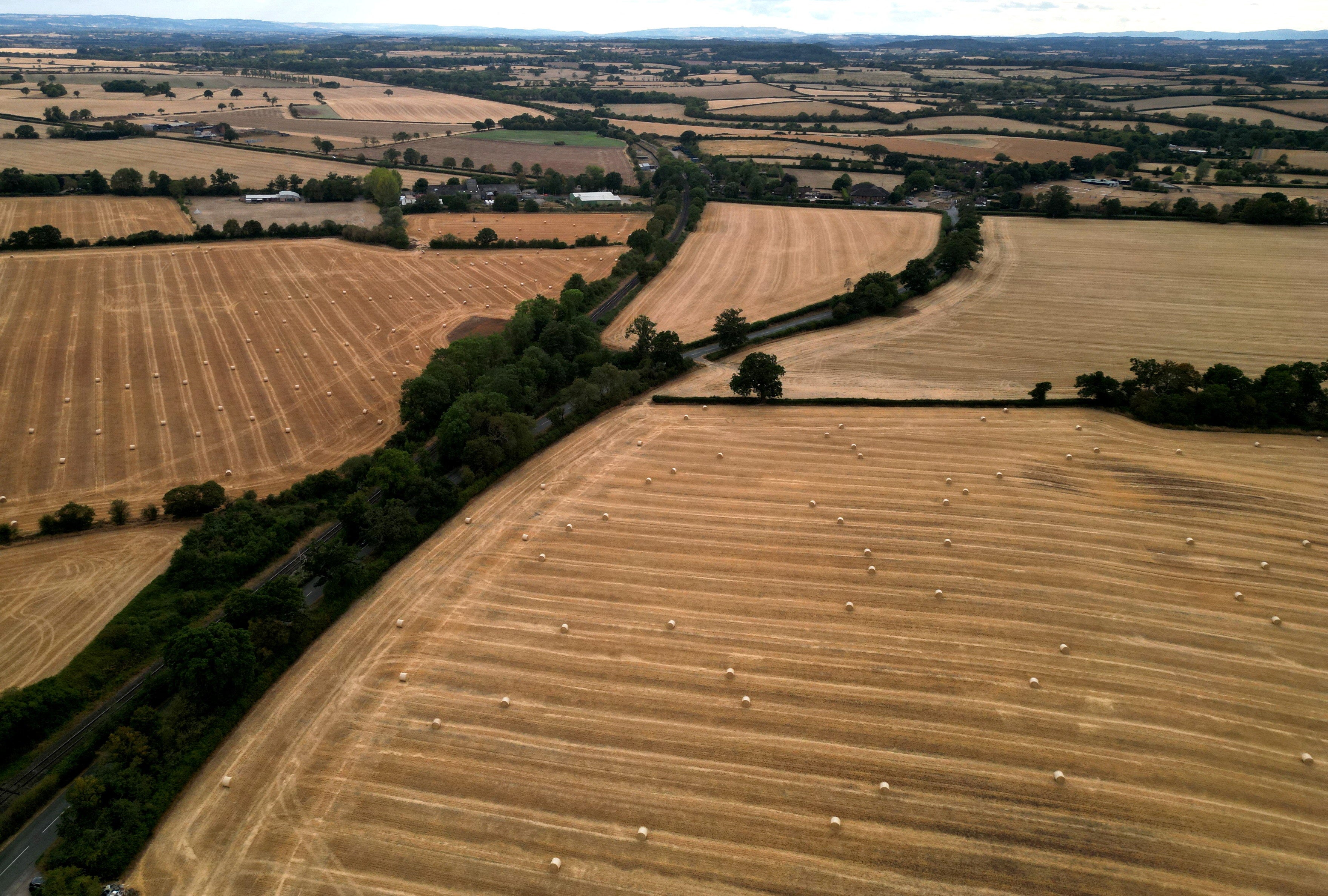 A drone view of hay bales on parched land as drought conditions continue in many parts of Britain (Reuters)
