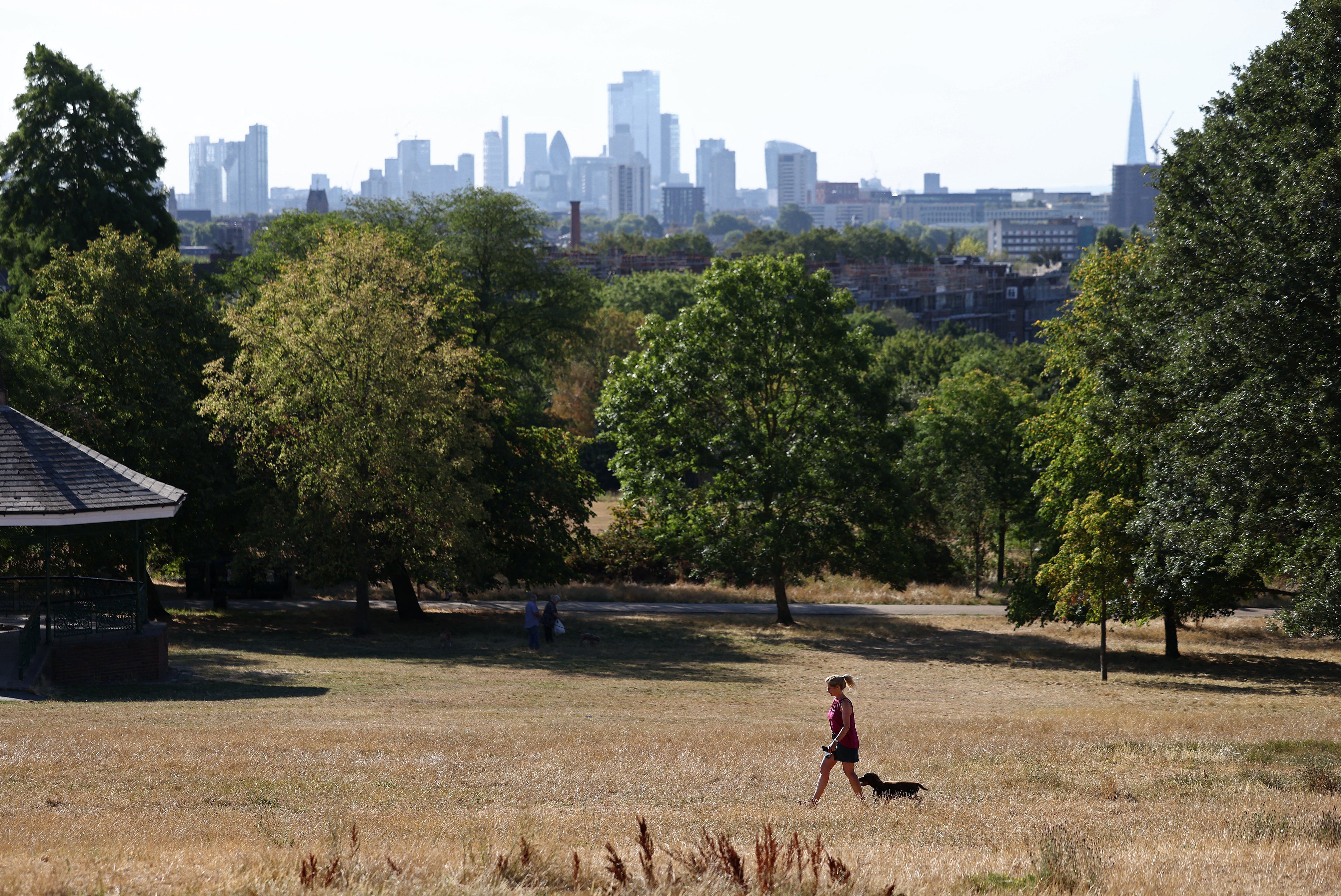 People walk through Hampstead Heath, where the grass has turned yellow-brown due to a lack of rain